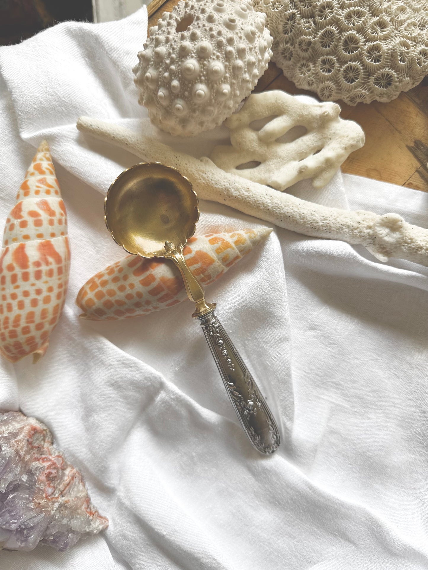 Cuillère à sucre vermeil et argent