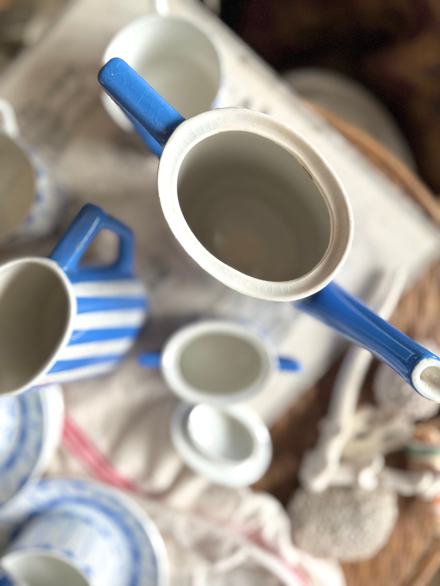 Service « Fox Trott » Sarreguemines bleu