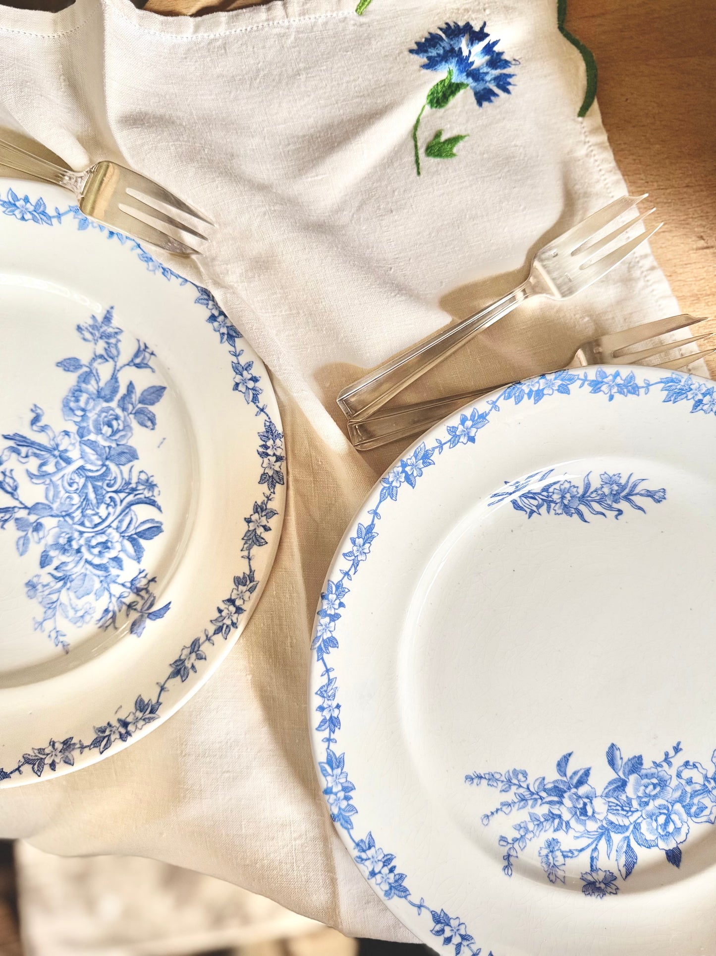 12 assiettes plates terre de fer