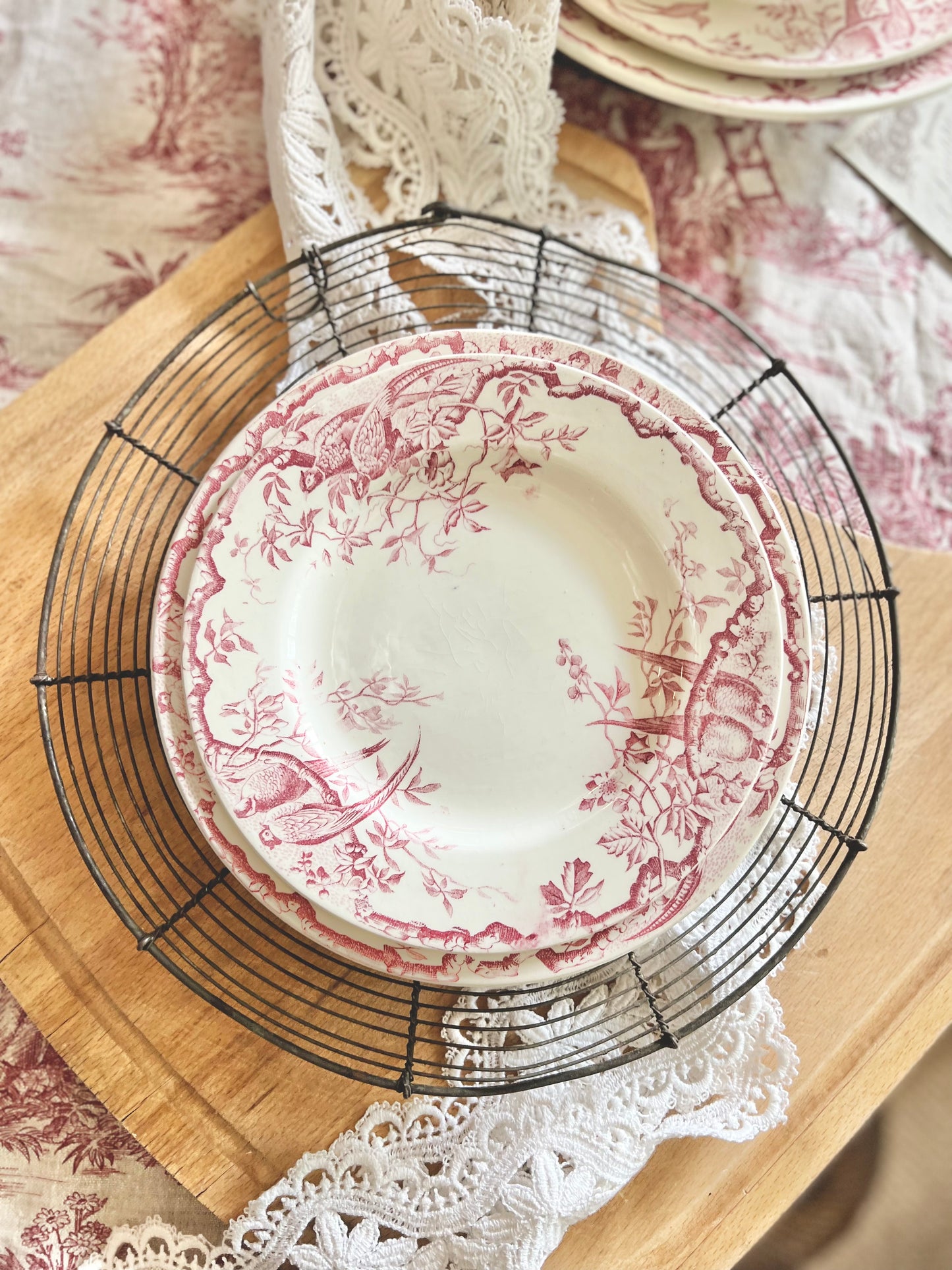 Assiettes plates « Rambouillet » de Luneville, terre de fer.