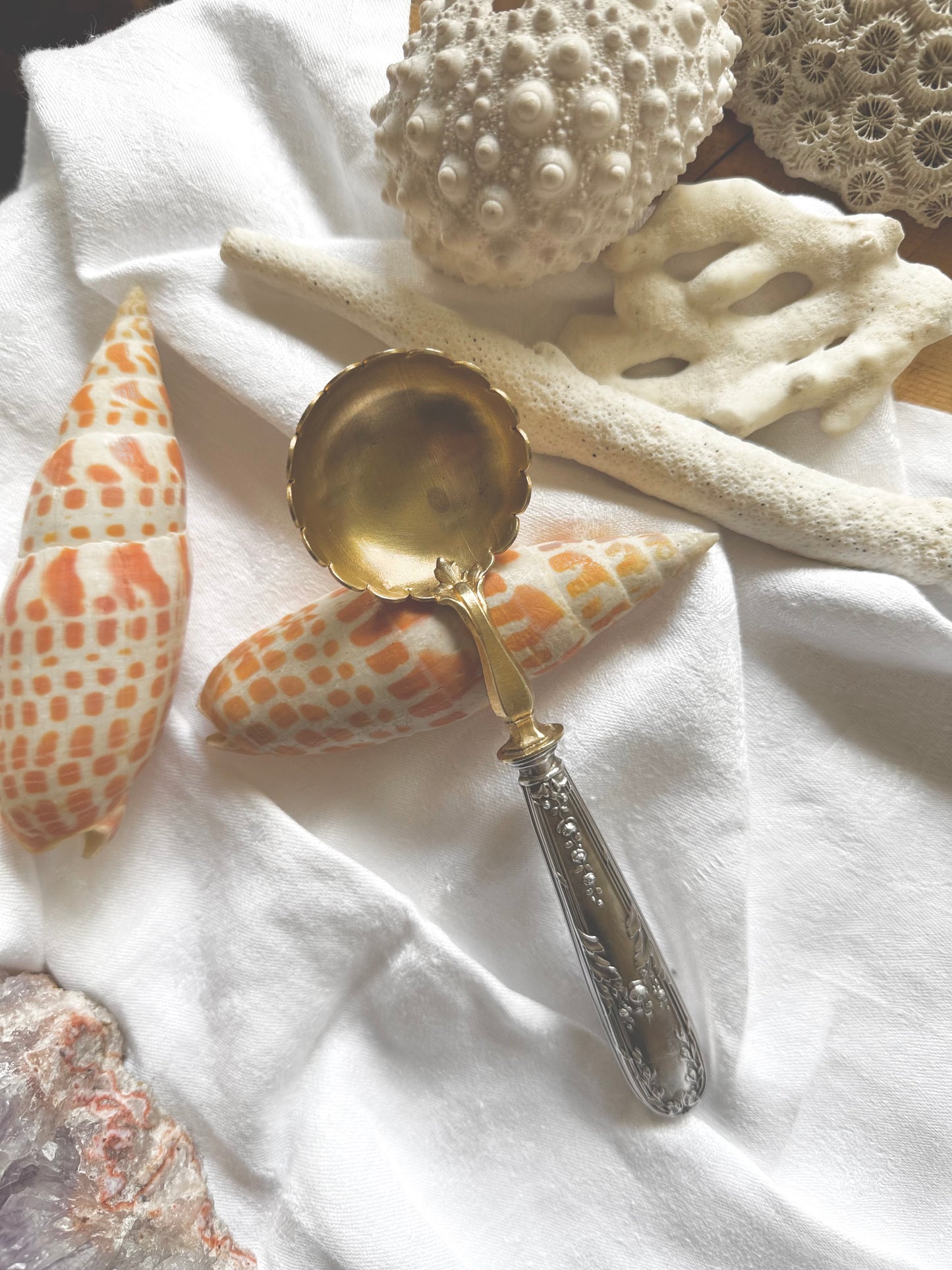 Cuillère à sucre vermeil et argent