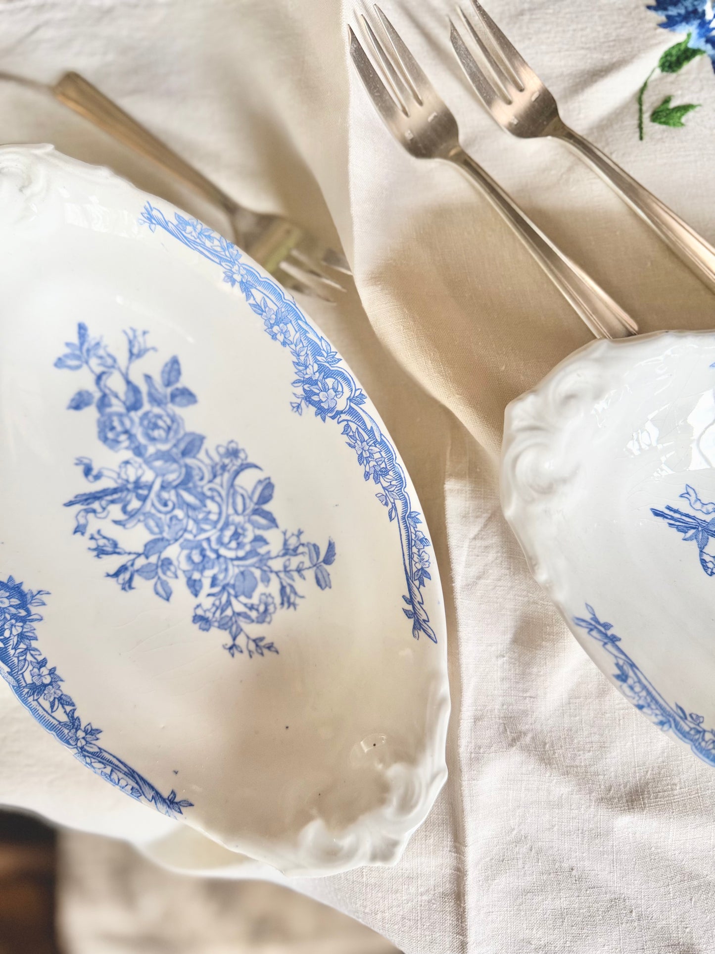 Raviers en terre de fer bleu