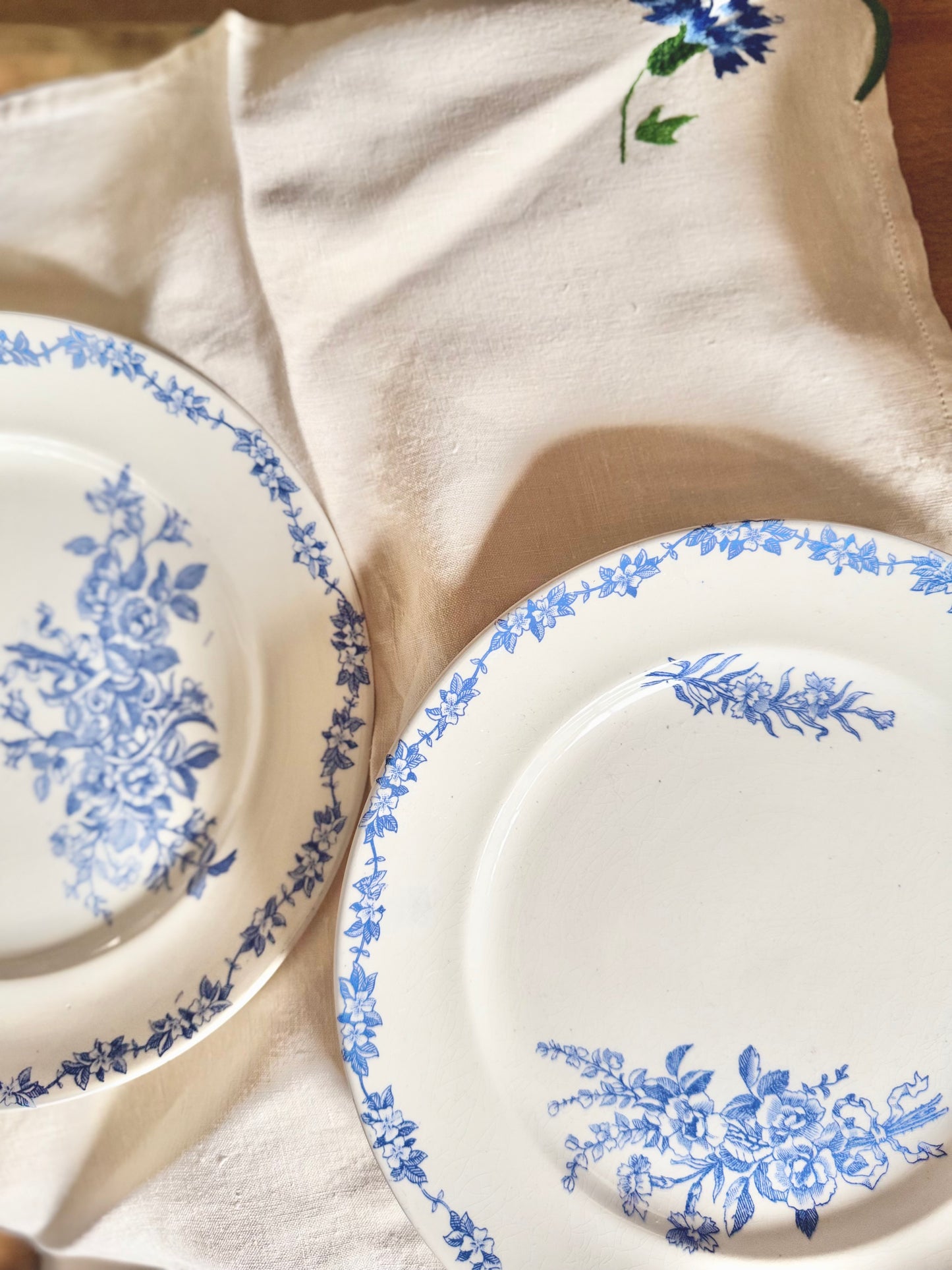 12 assiettes plates terre de fer