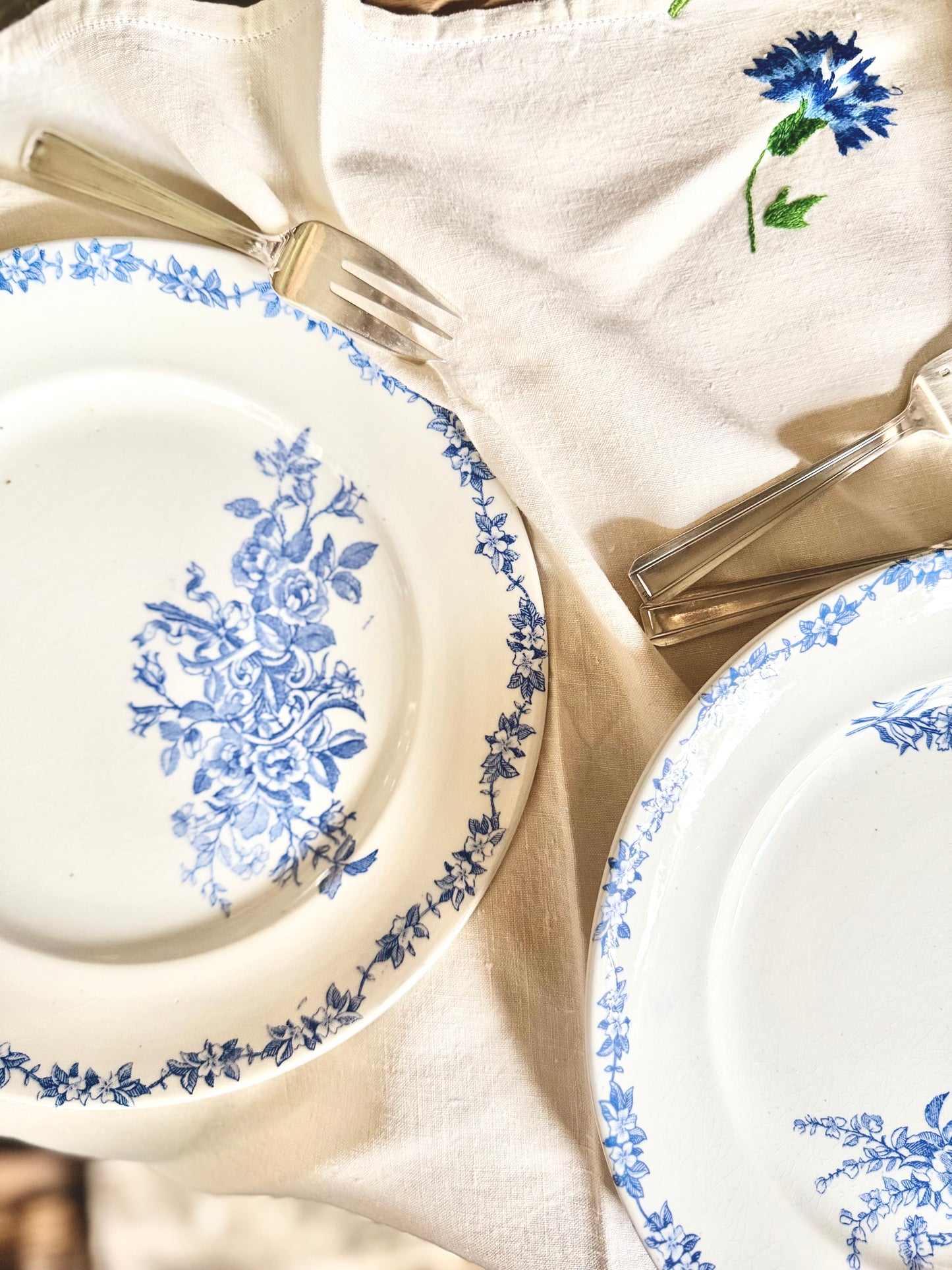 12 assiettes plates terre de fer