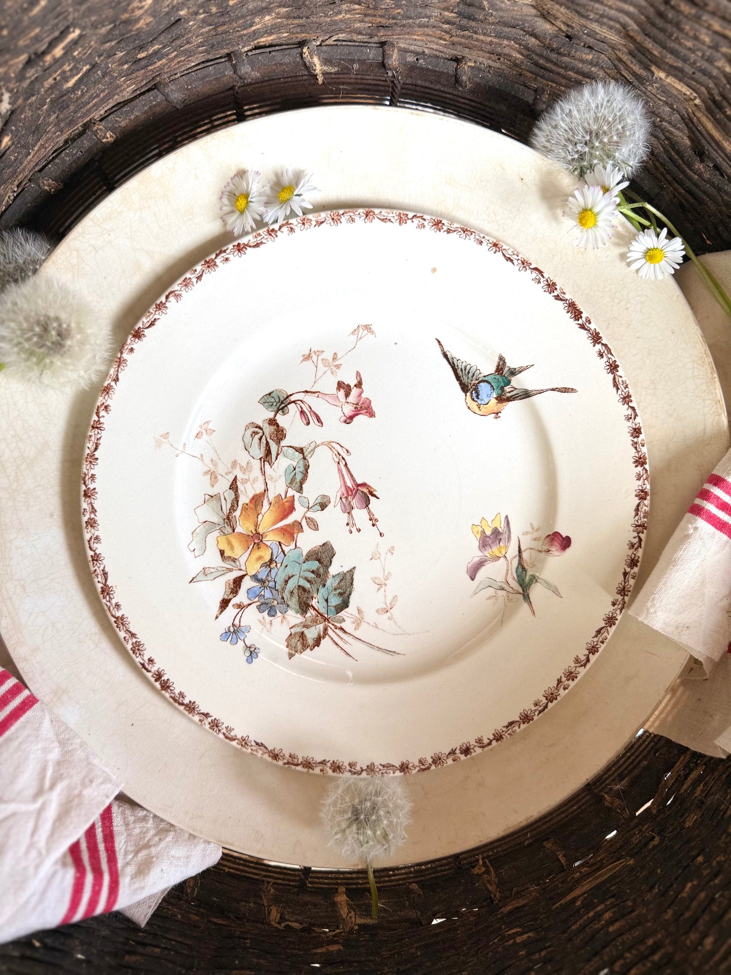 Assiette plate (N11) de Choisy Le Roi, polychrome en terre de fer