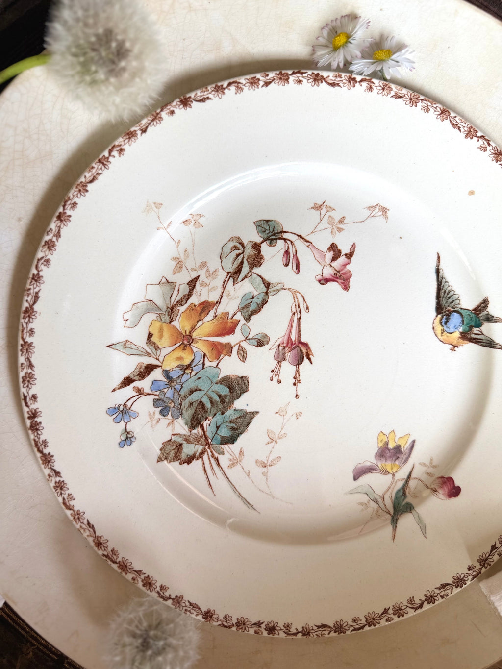 Assiette plate (N11) de Choisy Le Roi, polychrome en terre de fer