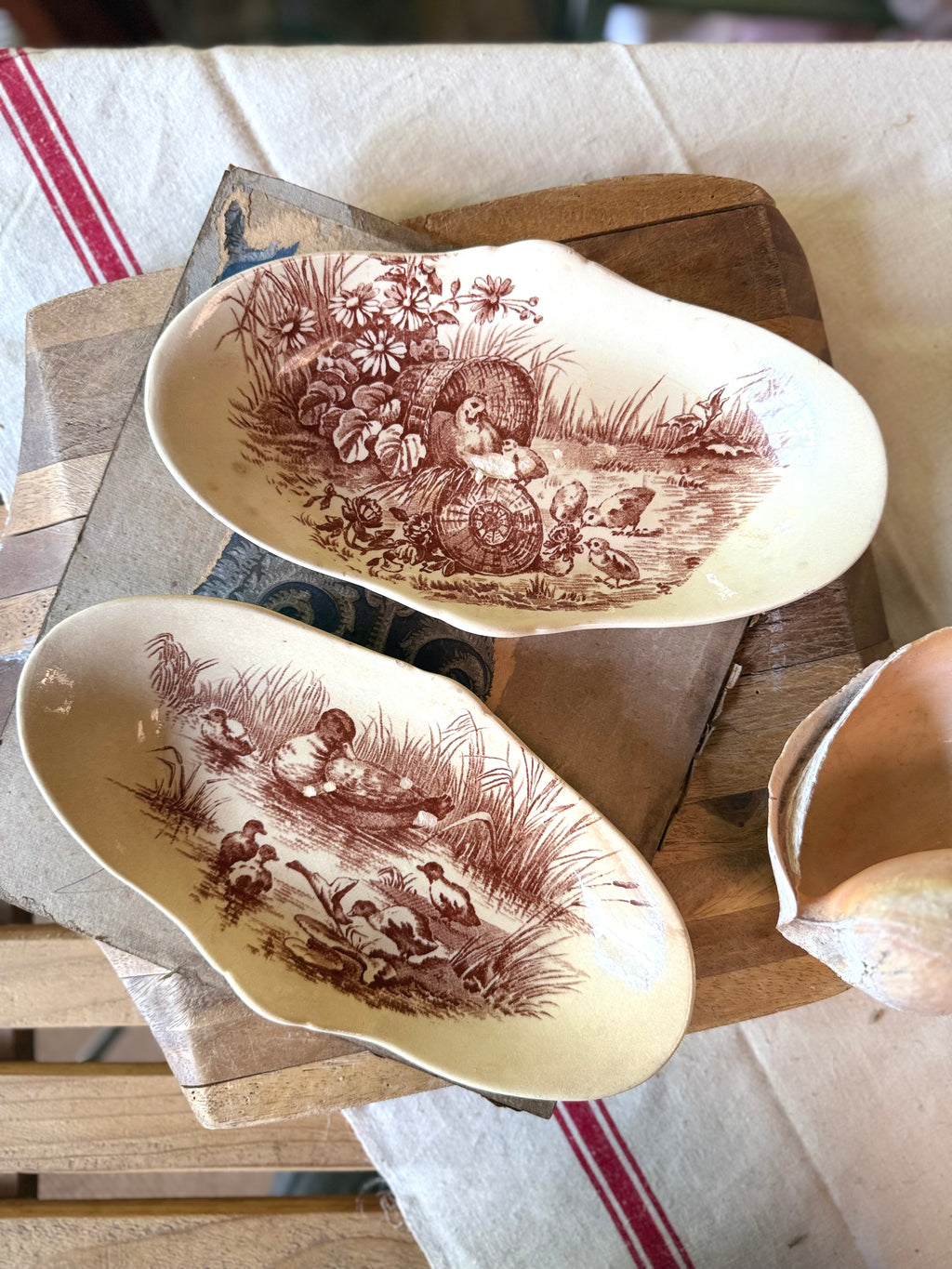 Ravier Jules Vieillard Bordeaux , modèle « Volière »