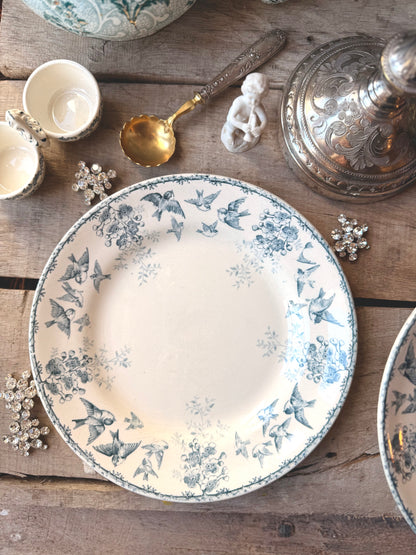 Assiettes plates Choisy le roi, « Montigny »