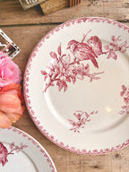 « Favori », assiettes plates, Sarreguemines - Le boudoir luxe de Solenn