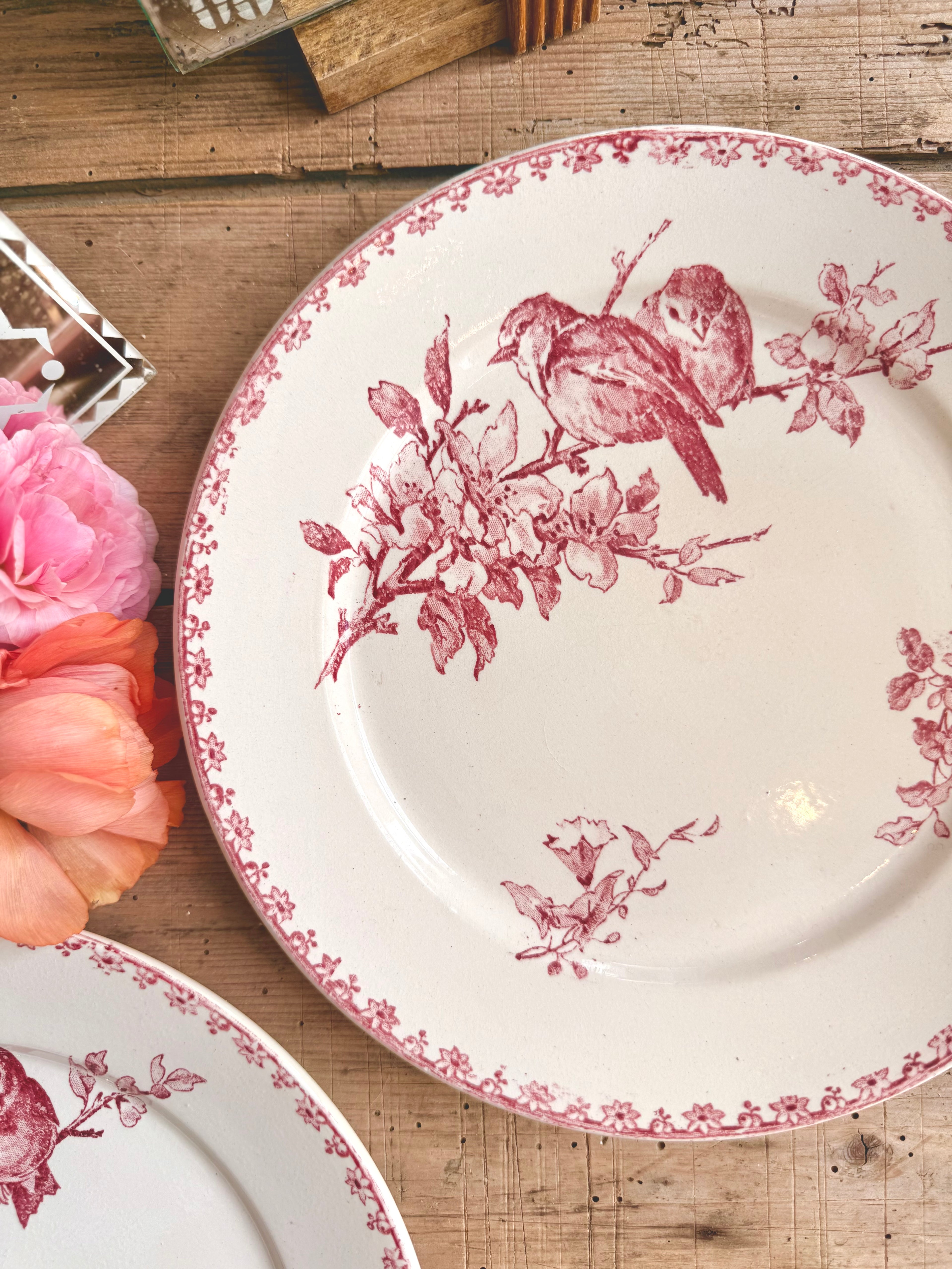 « Favori », assiettes plates, Sarreguemines