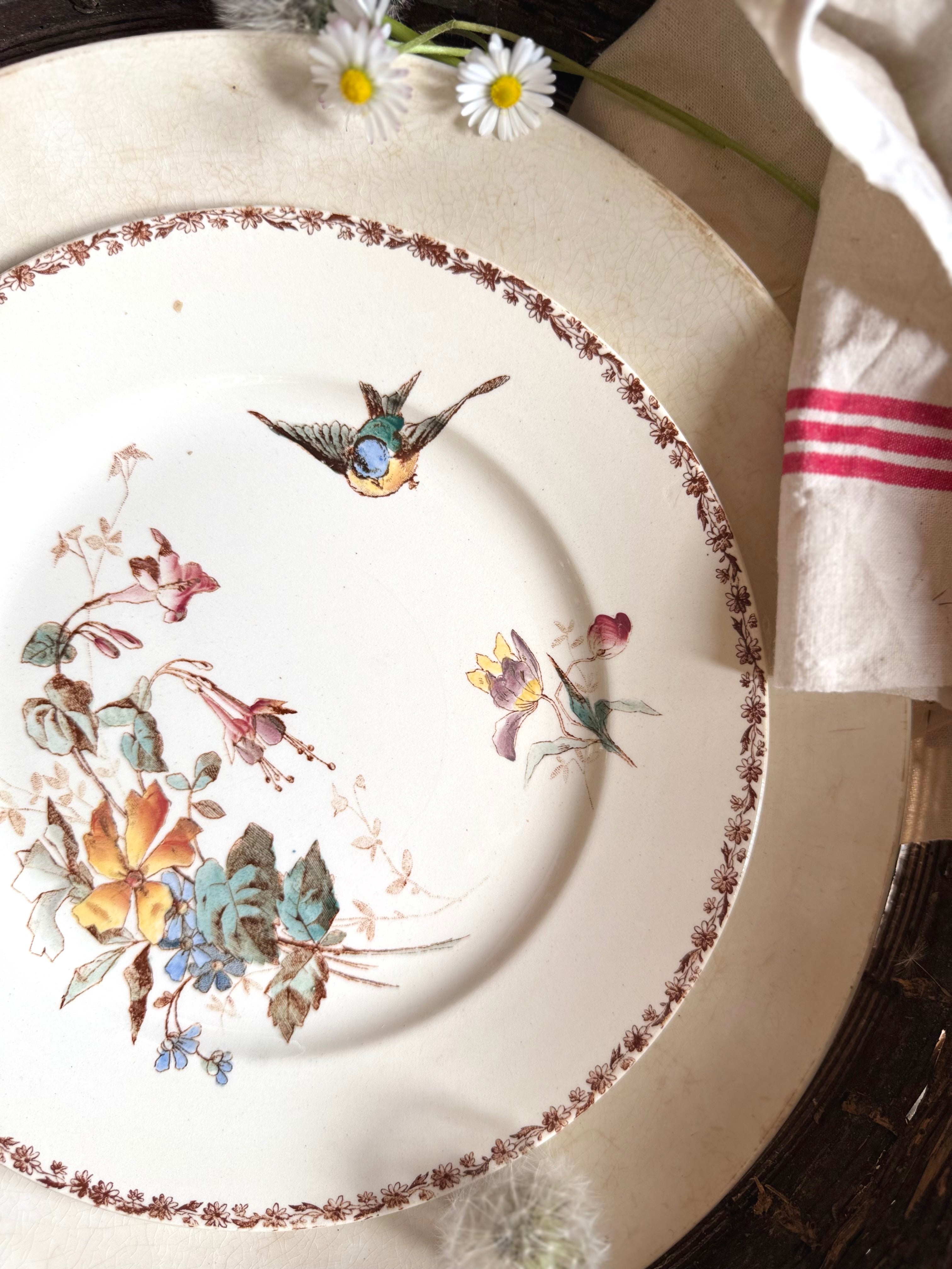 Assiette plate (N11) de Choisy Le Roi, polychrome en terre de fer