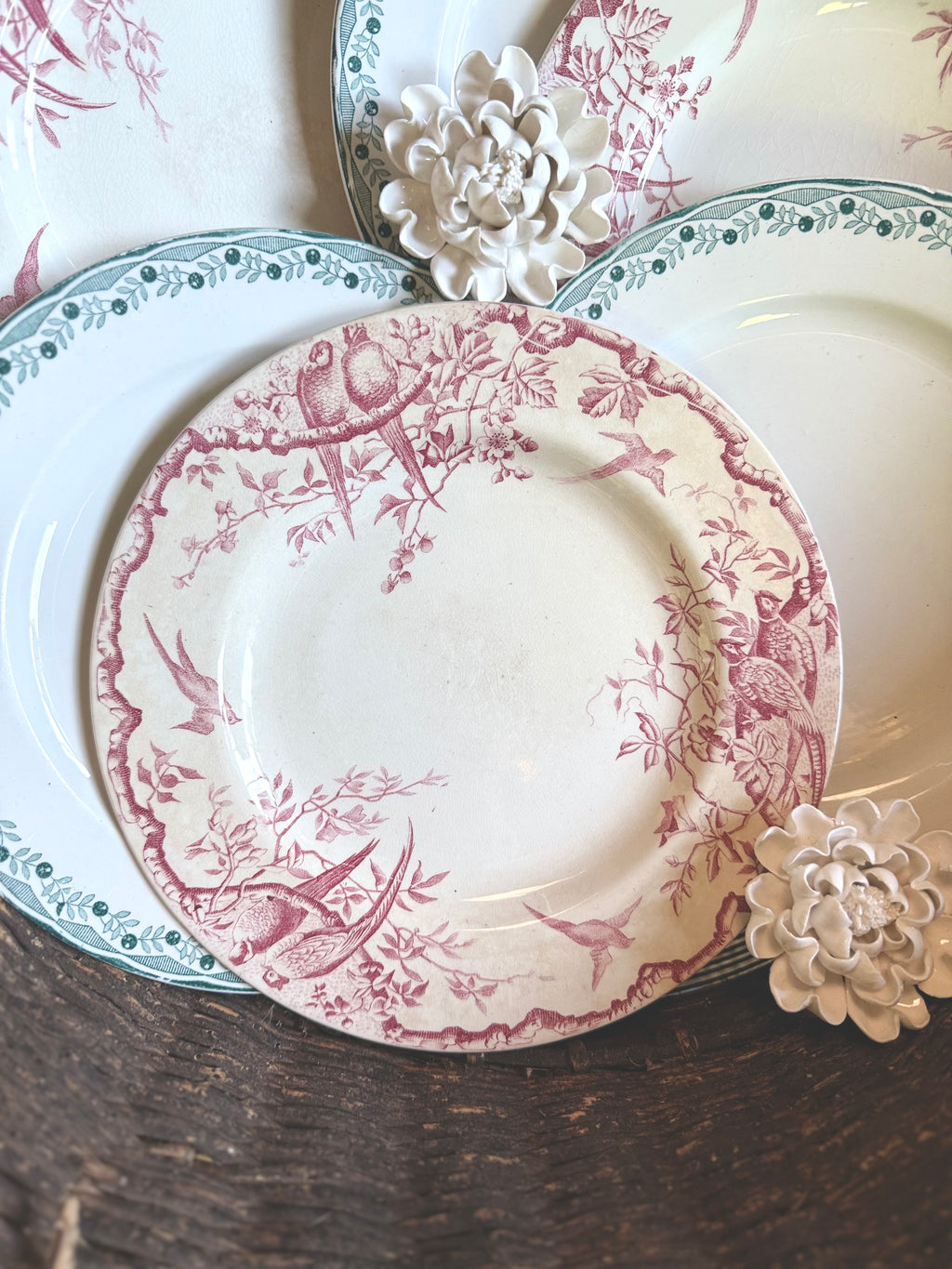 6 assiettes plates en terre de fer, luneville et Sarreguemines