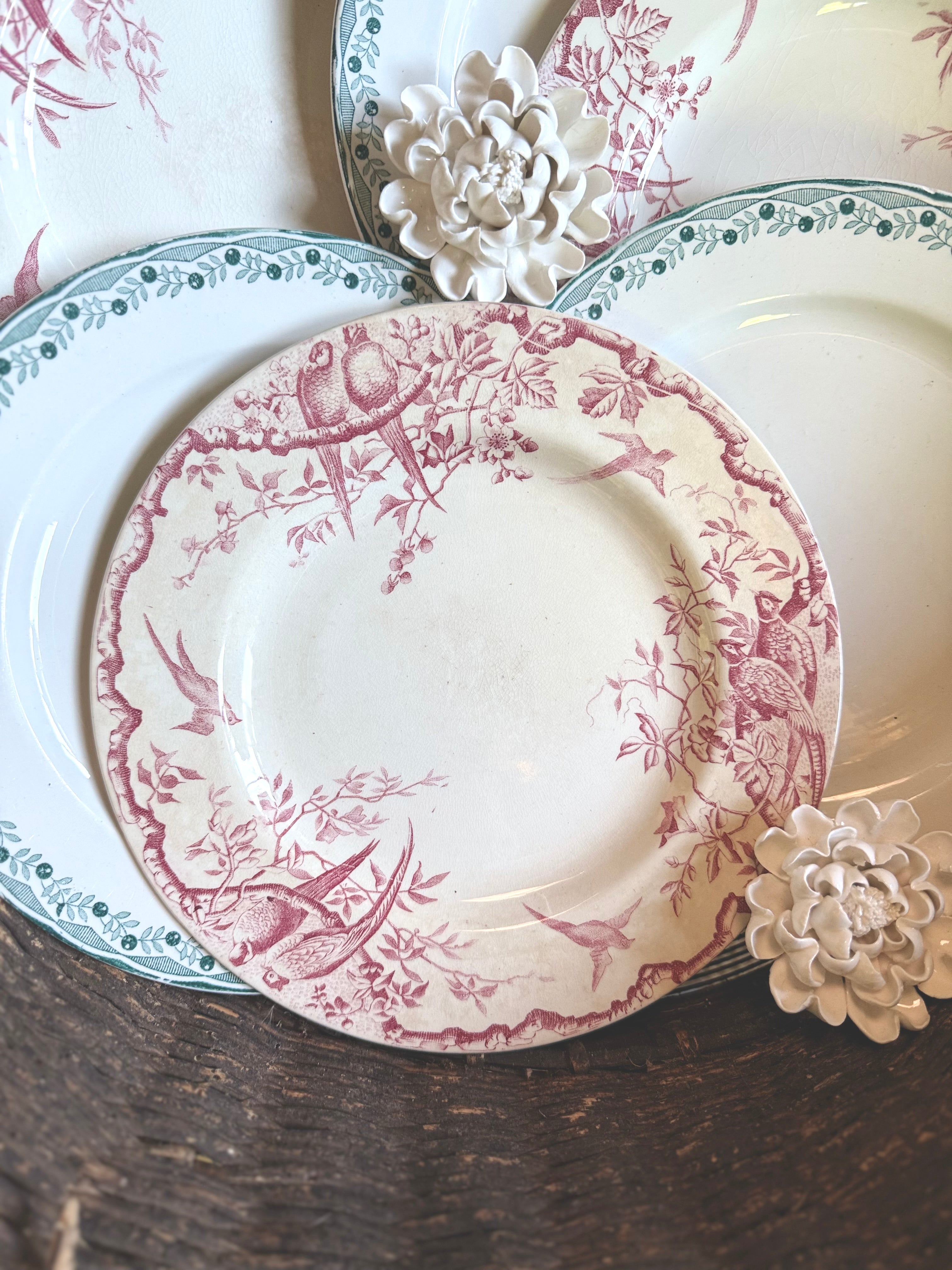 6 assiettes plates en terre de fer, luneville et Sarreguemines