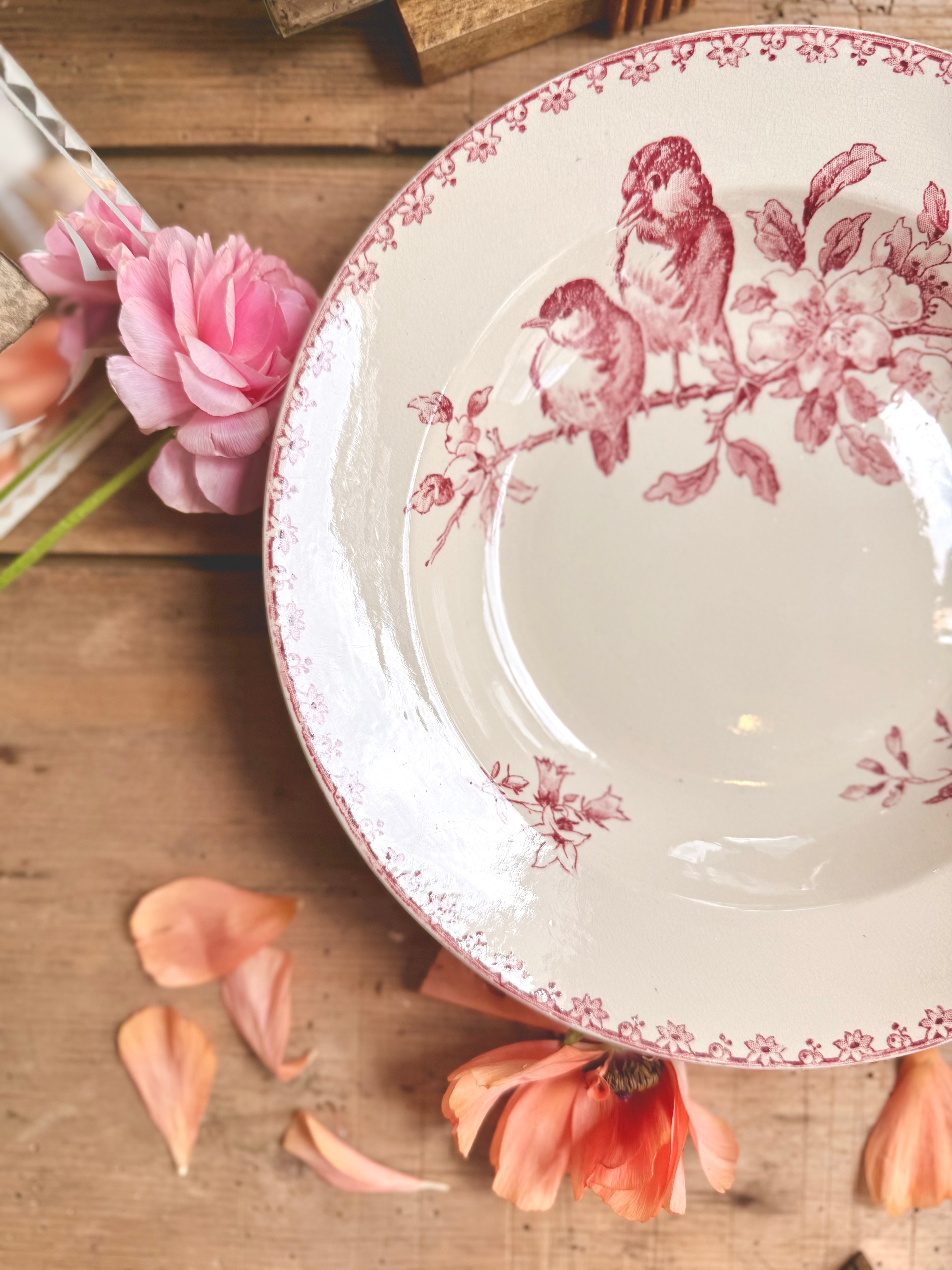 « Favori », assiettes creuses, Sarreguemines
