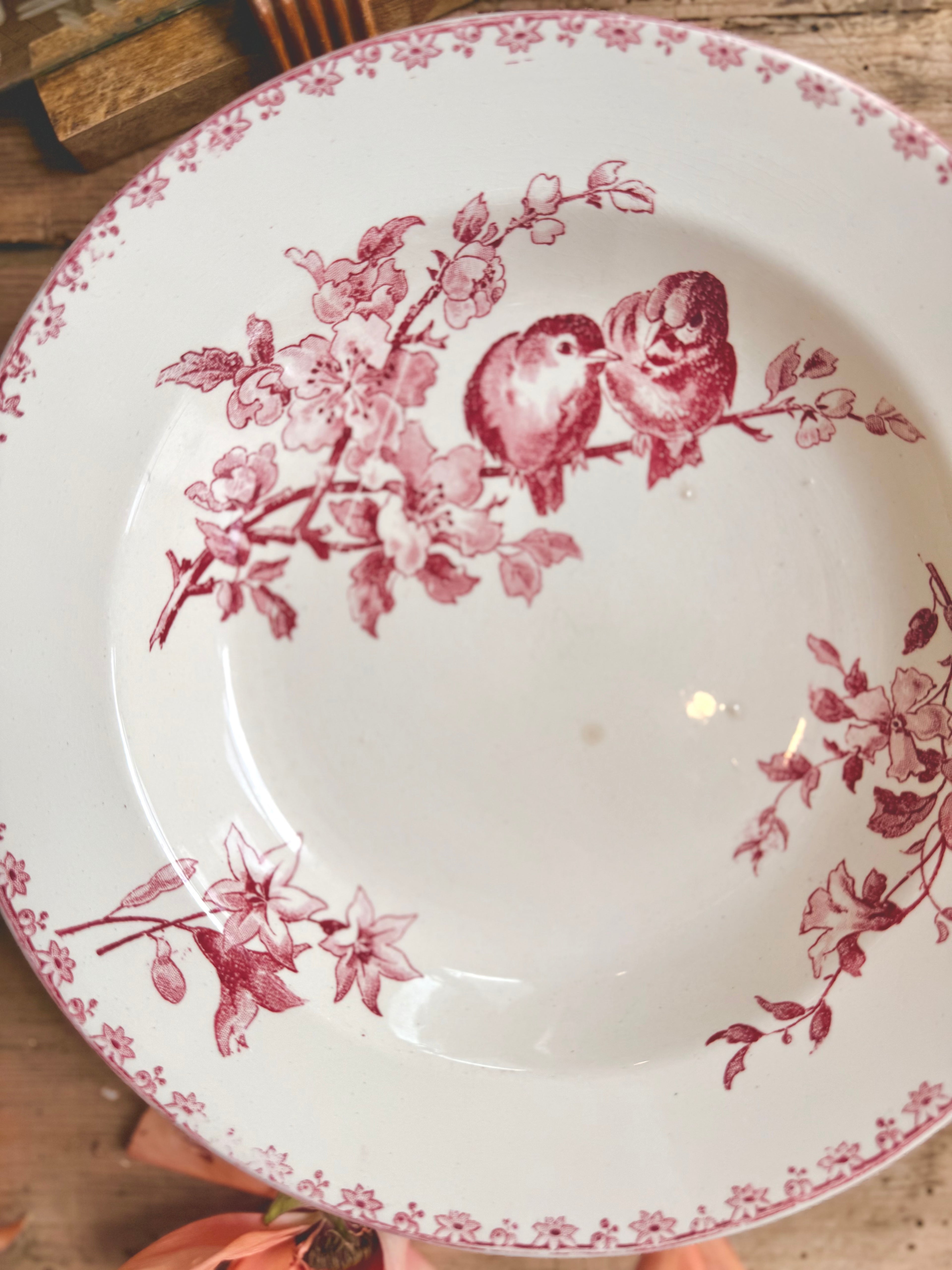 « Favori », assiettes creuses, Sarreguemines