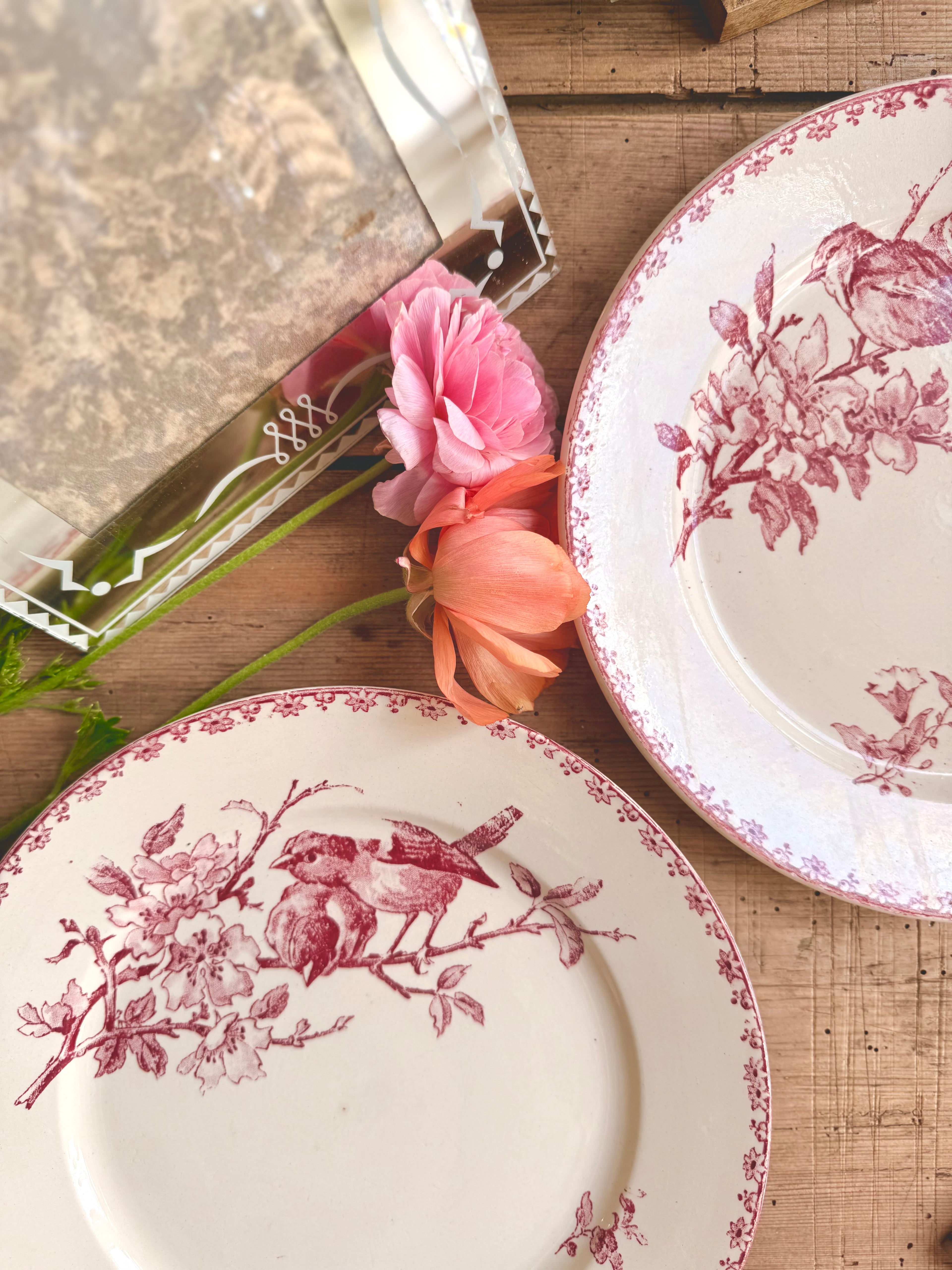 « Favori », assiettes plates, Sarreguemines