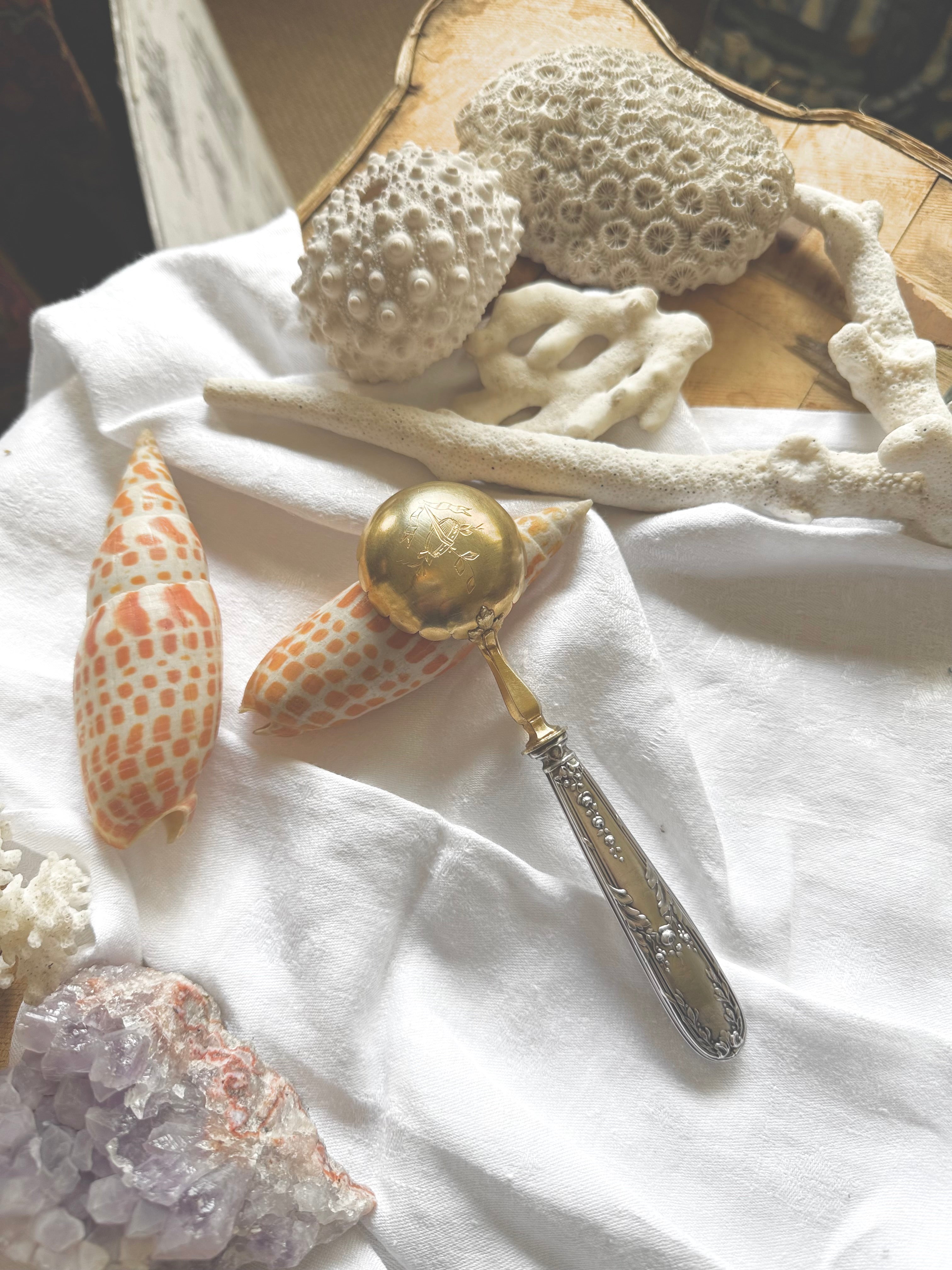 Cuillère à sucre vermeil et argent - Le boudoir luxe de Solenn