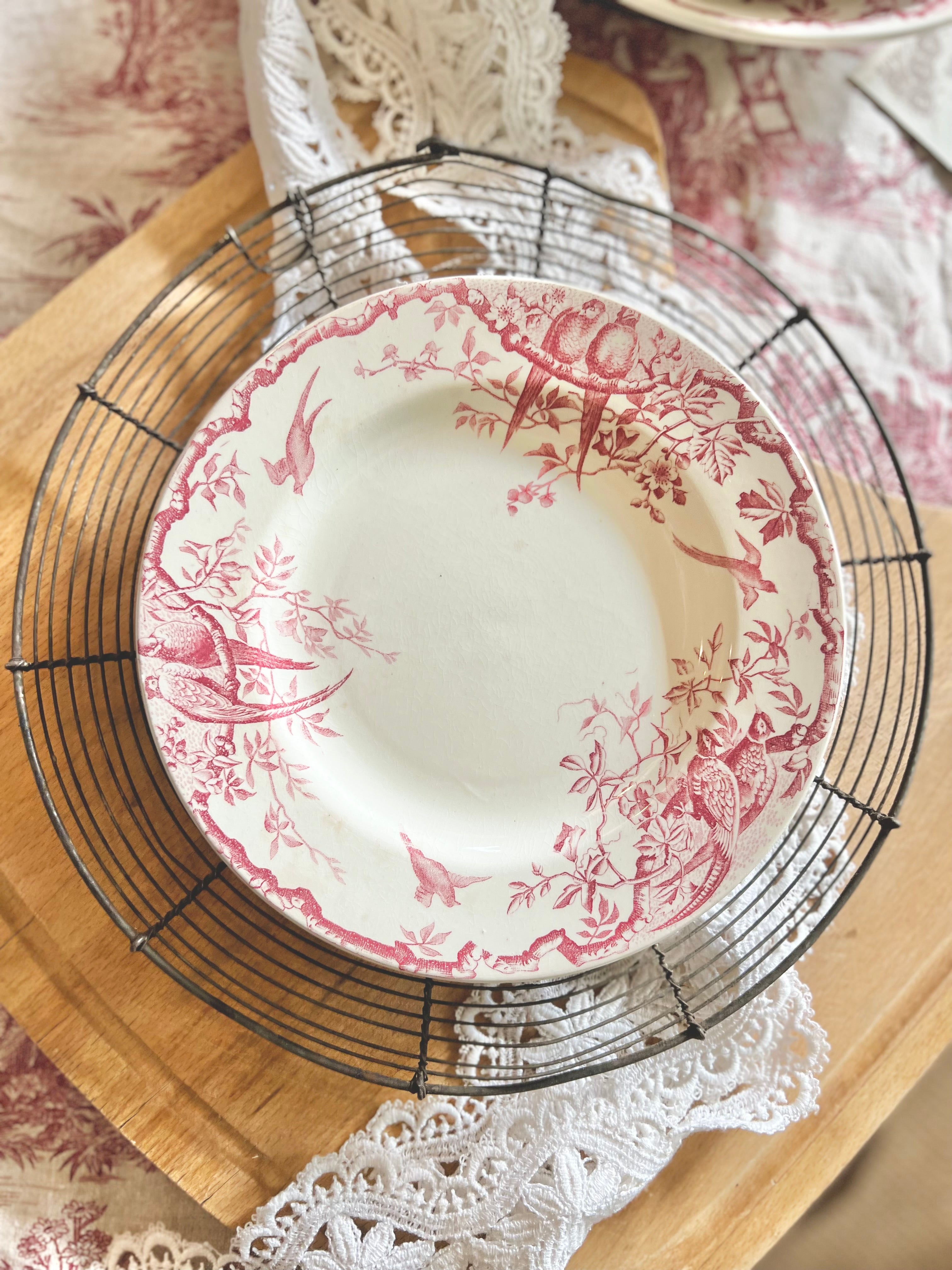 Assiettes plates « Rambouillet » de Luneville, terre de fer. - Le boudoir luxe de Solenn