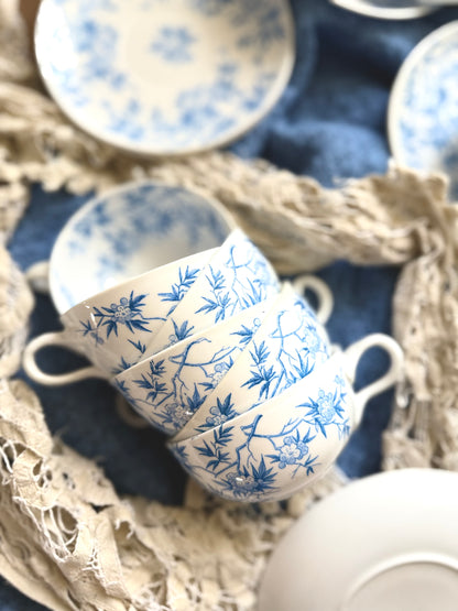 Service Sarreguemines « épines »