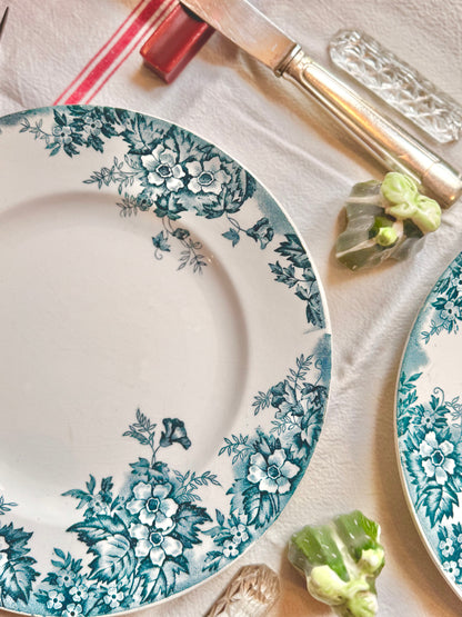 Assiettes plates Marie-Louise, terre de fer