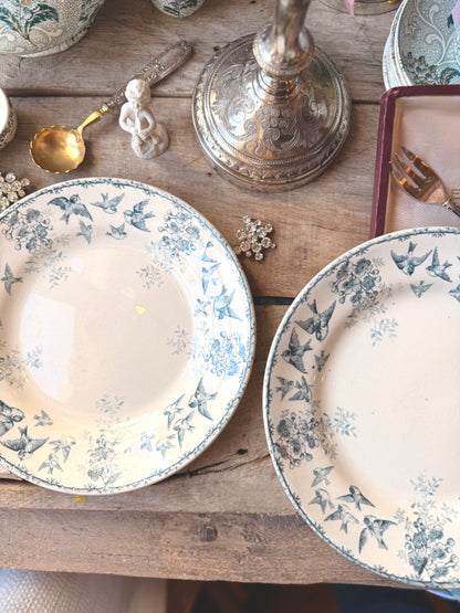 Assiettes plates Choisy le roi, « Montigny »