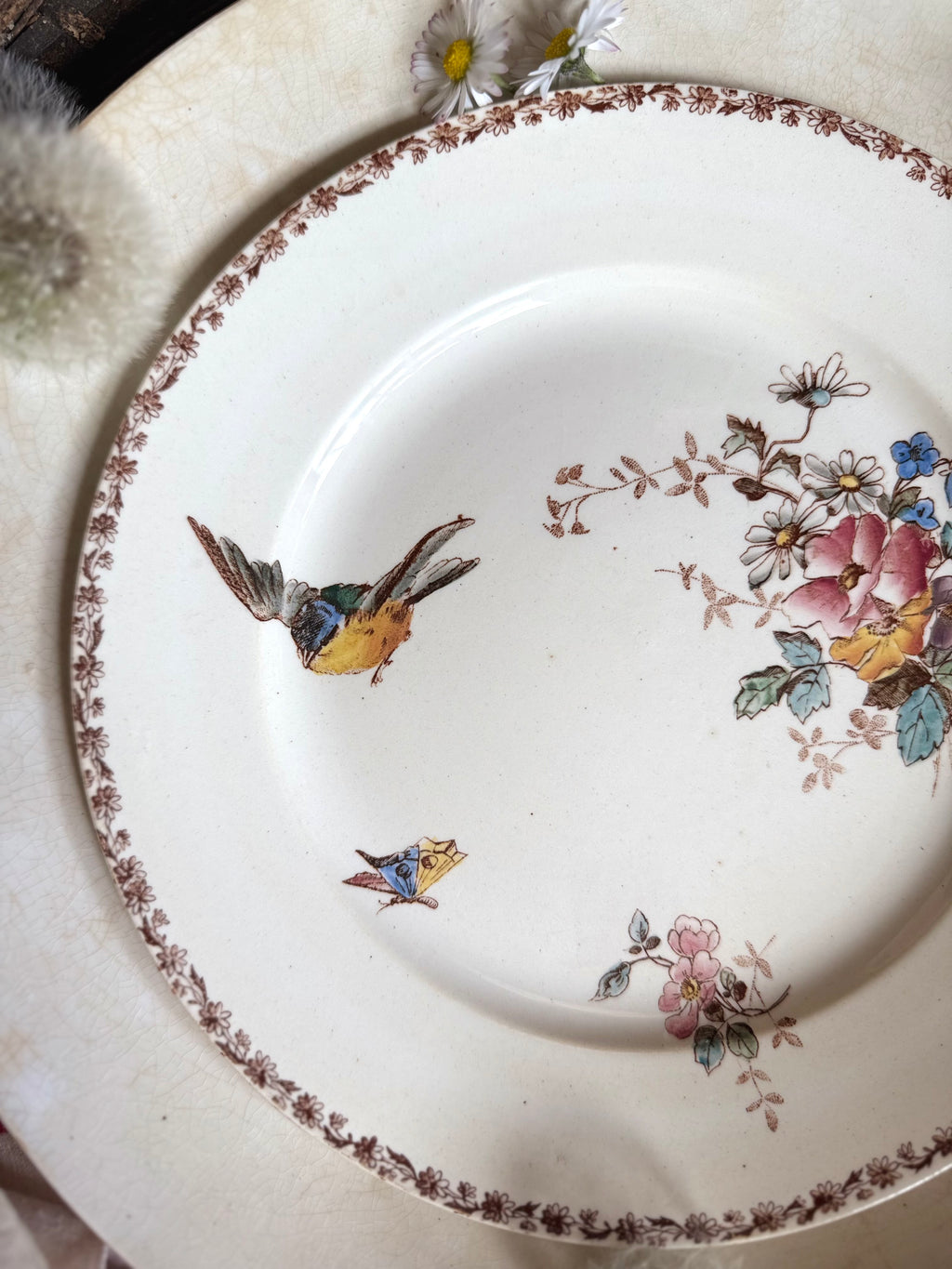 Assiette plate (N6) de Choisy Le Roi, polychrome en terre de fer