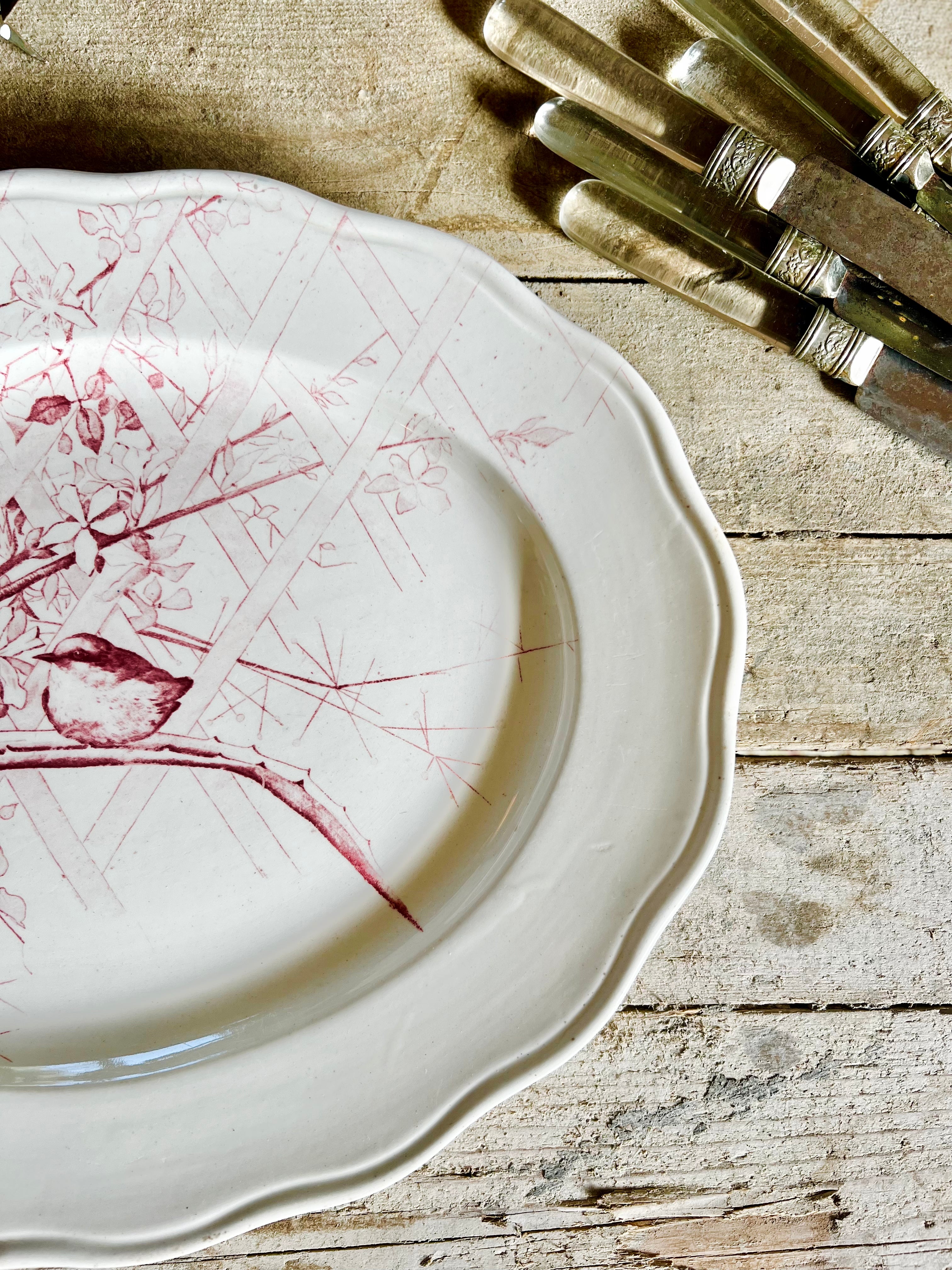 Rare plat ovale de Cauldon 1830 - Le boudoir luxe de Solenn