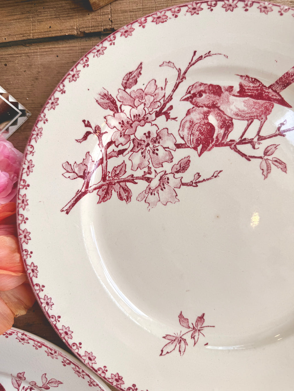 « Favori », assiettes plates, Sarreguemines