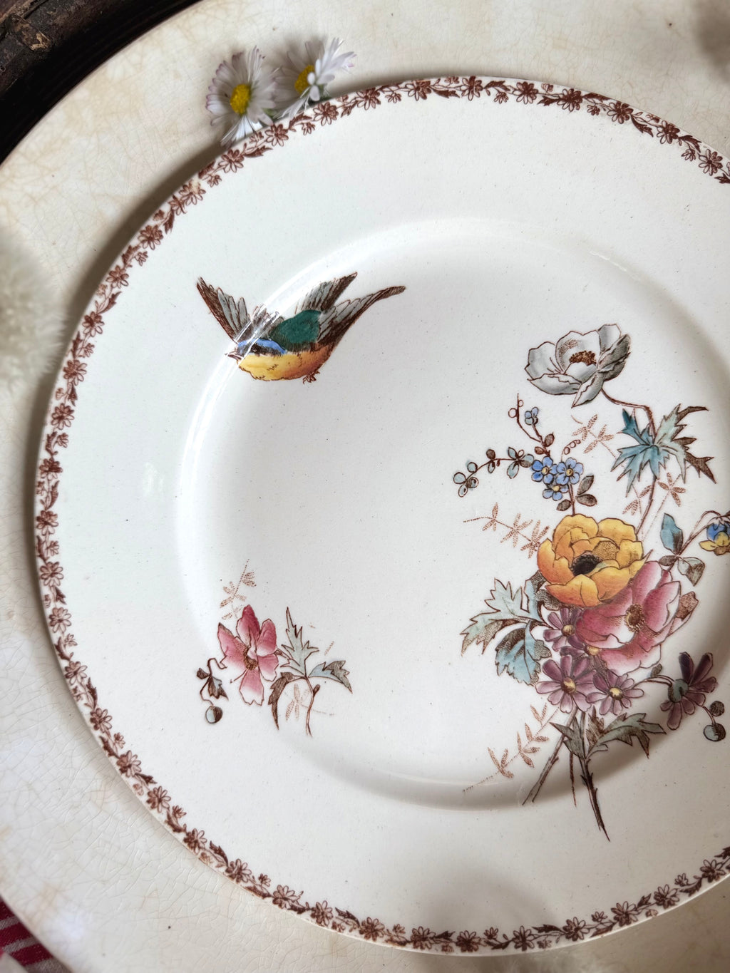 Assiette plate (N7) de Choisy Le Roi, polychrome en terre de fer