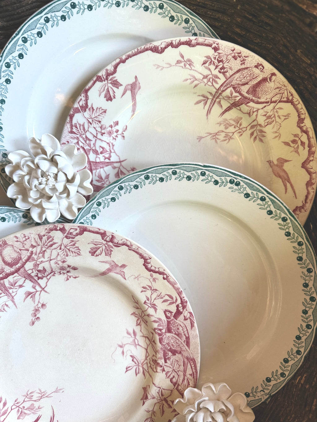 6 assiettes plates en terre de fer, luneville et Sarreguemines