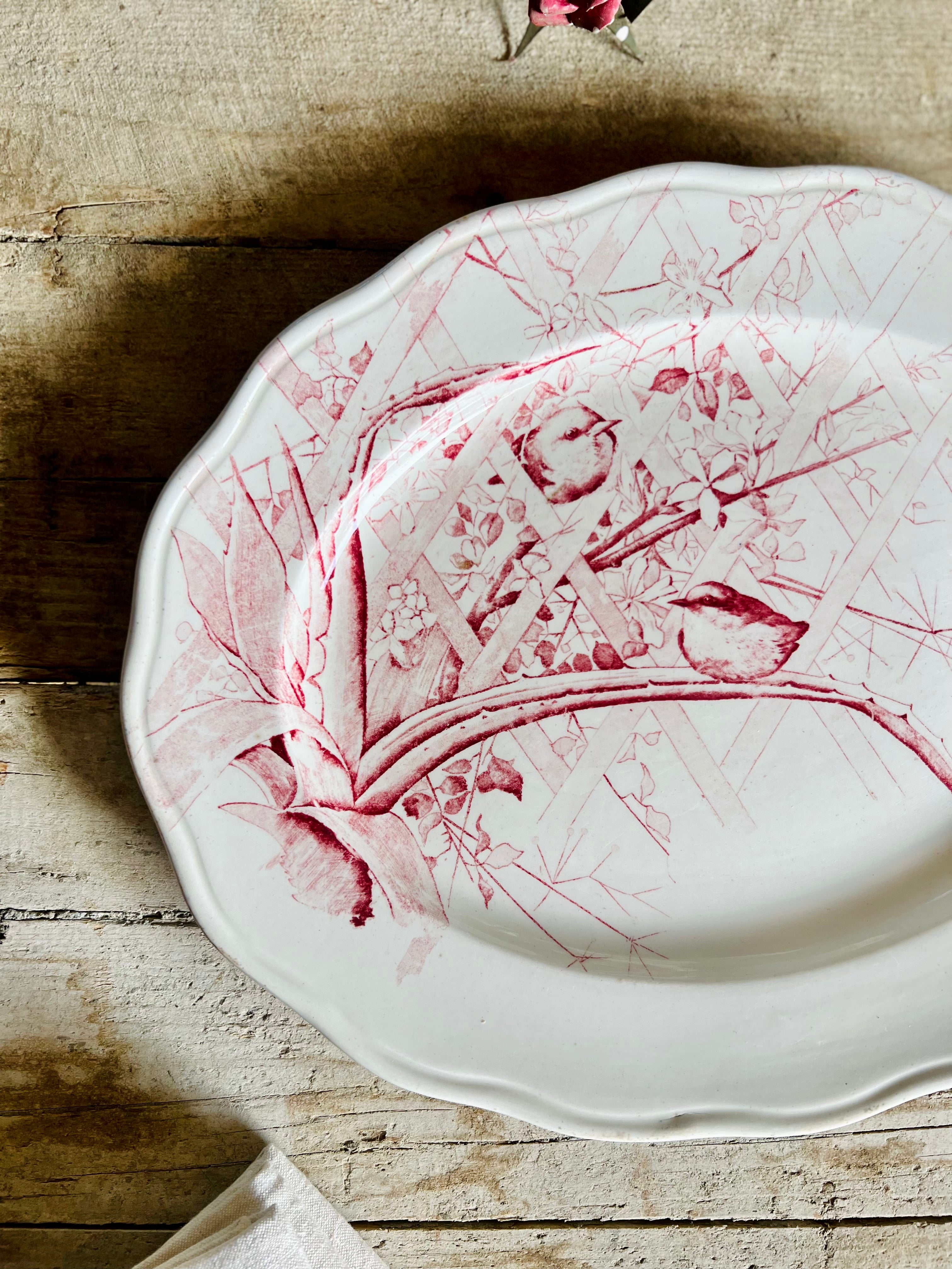 Rare plat ovale de Cauldon 1830 - Le boudoir luxe de Solenn