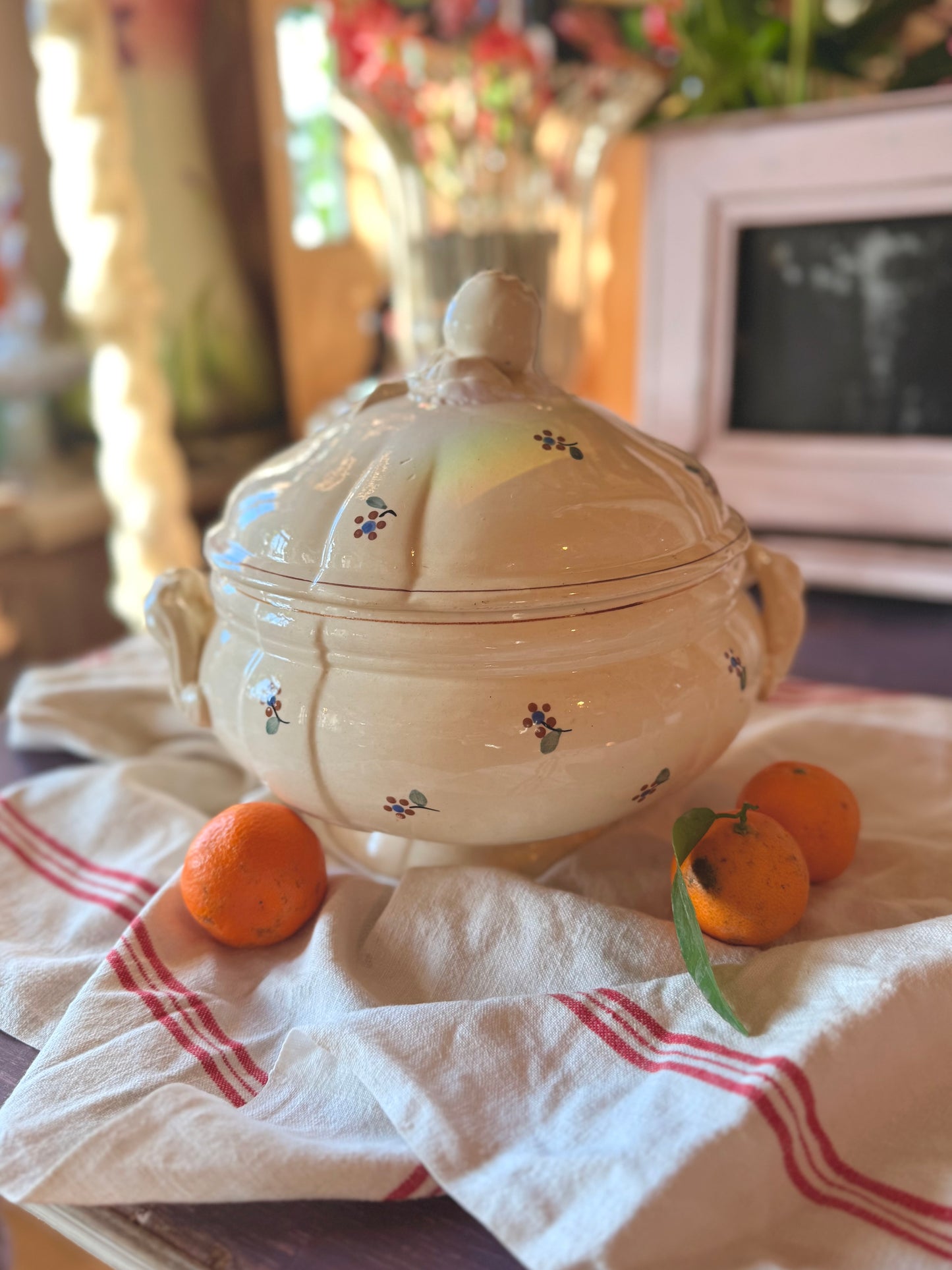 Soupière « Arromanches », Digoin Sarreguemines