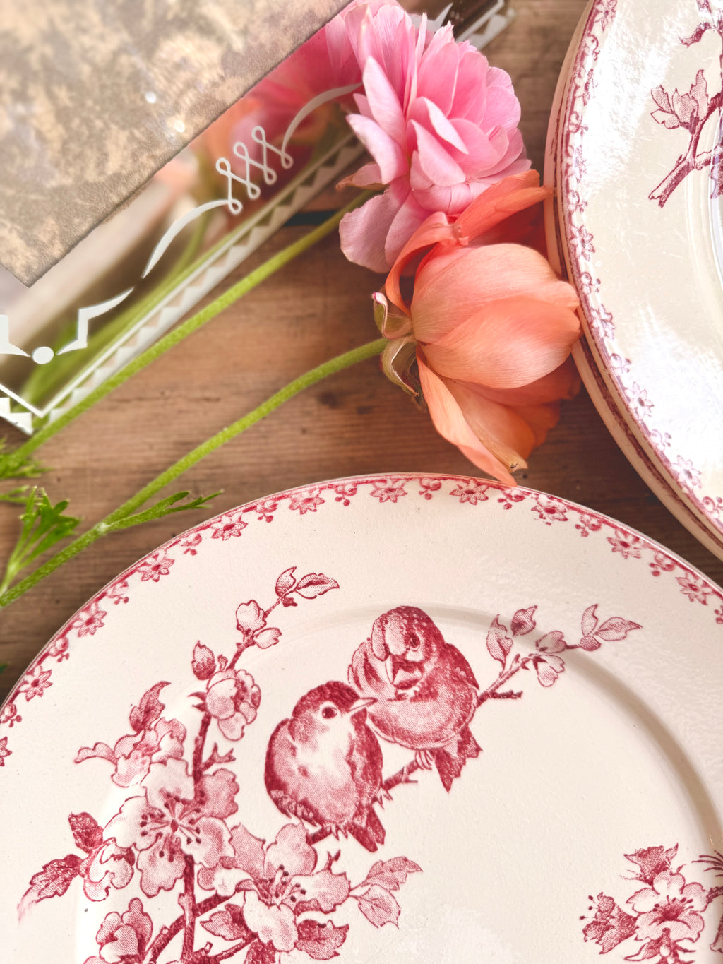 « Favori », assiettes plates, Sarreguemines
