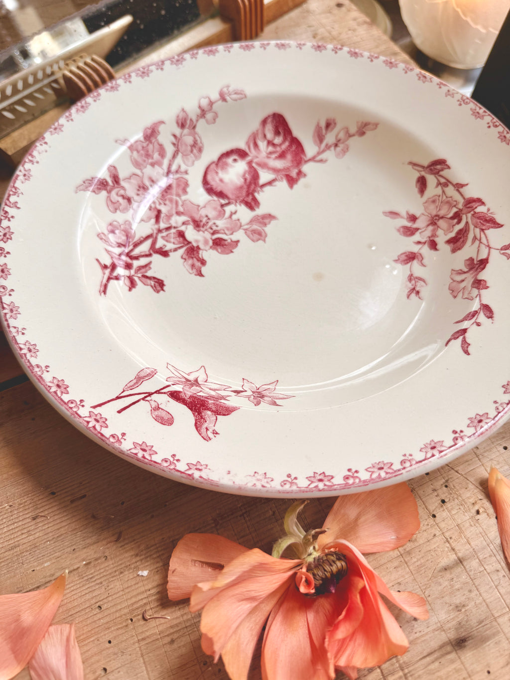 « Favori », assiettes creuses, Sarreguemines