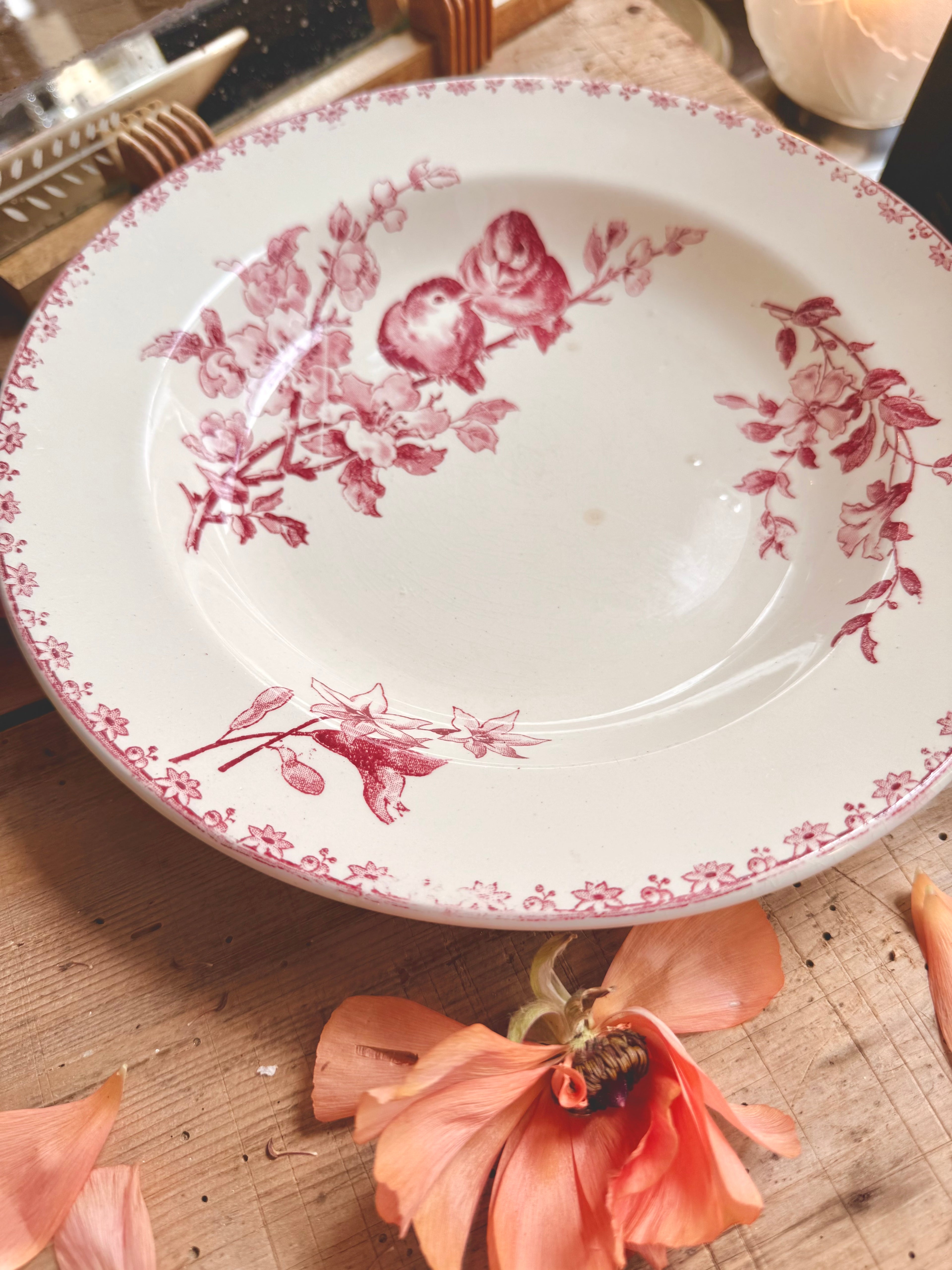 « Favori », assiettes creuses, Sarreguemines