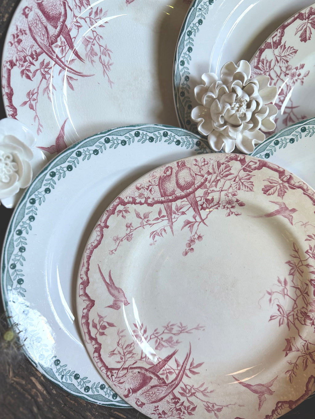 6 assiettes plates en terre de fer, luneville et Sarreguemines