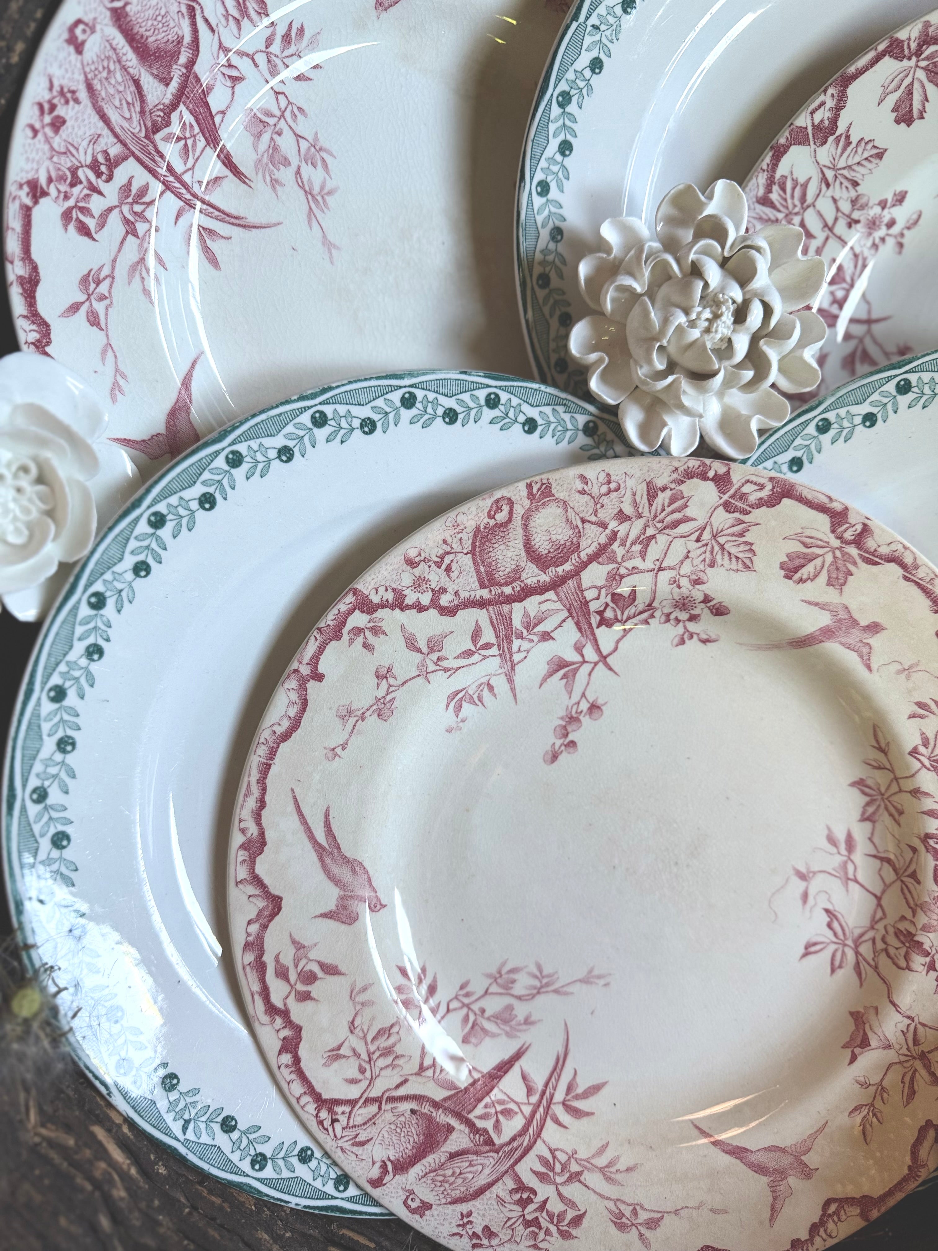 6 assiettes plates en terre de fer, luneville et Sarreguemines