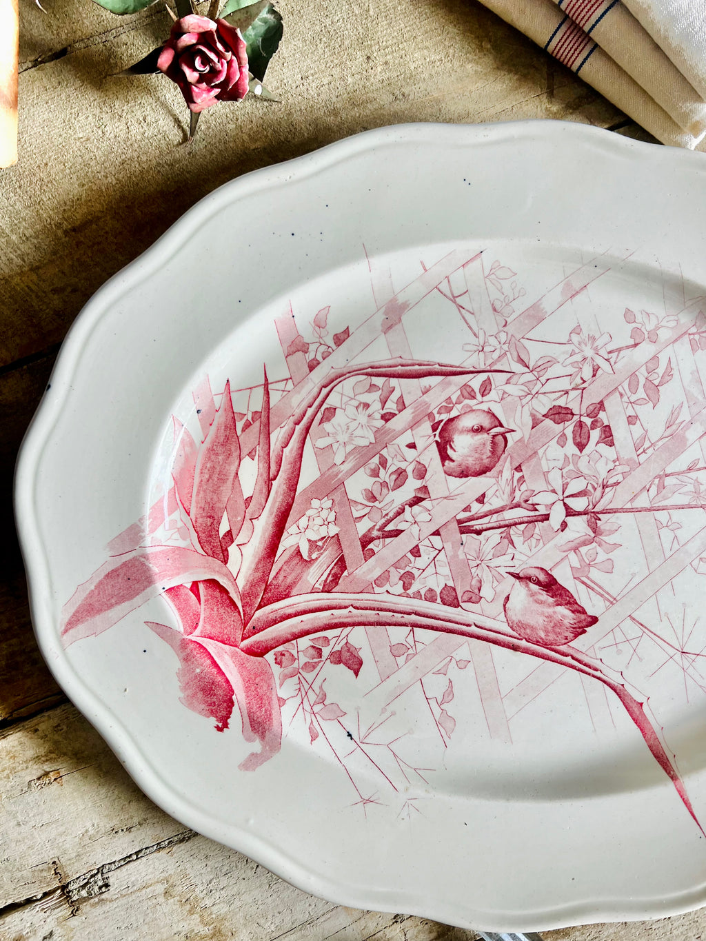 Rare plat de faïence de Cauldon 1830. - Le boudoir luxe de Solenn