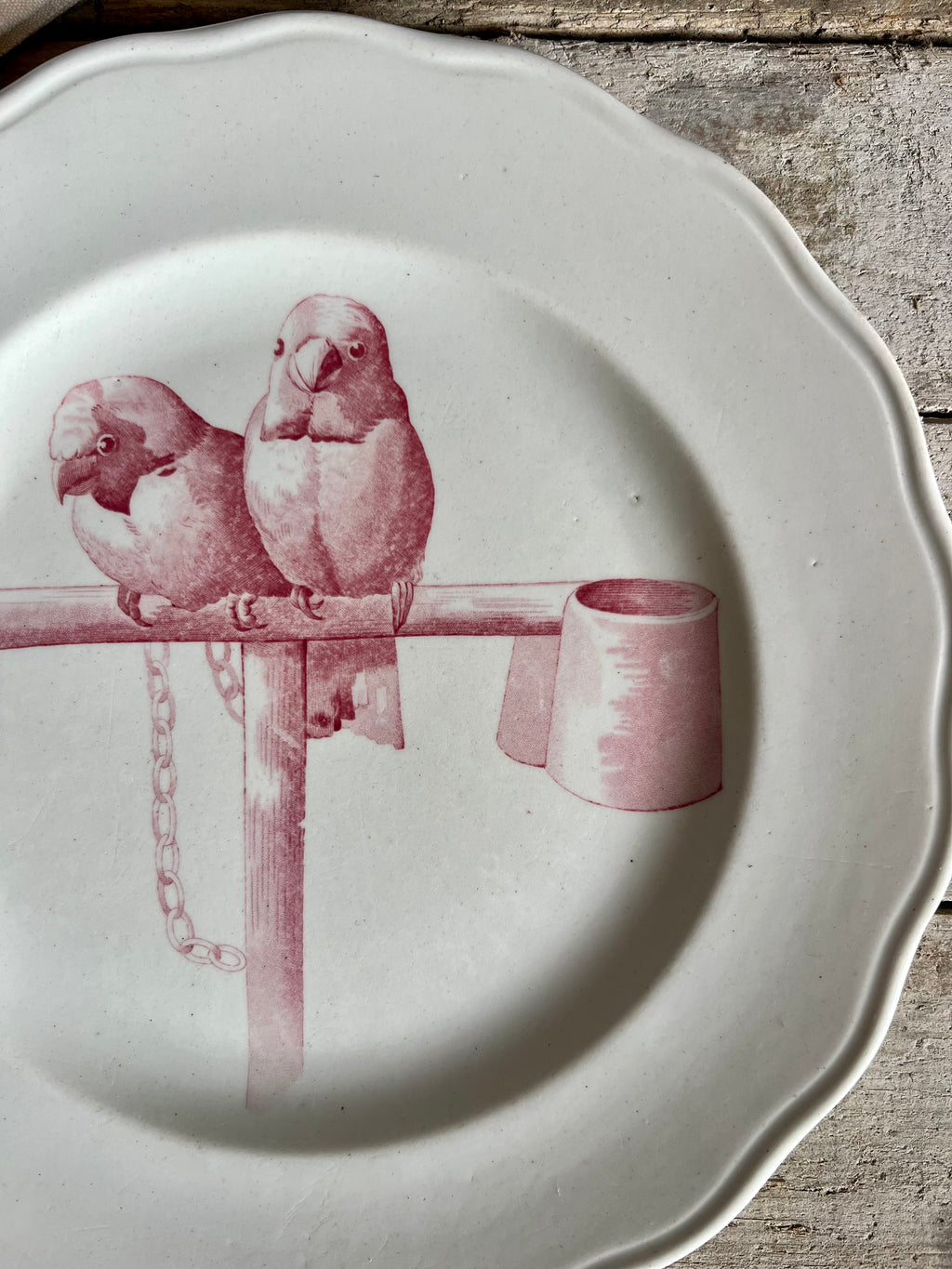 Rare assiette de Cauldon en faïence de 1830 - Le boudoir luxe de Solenn