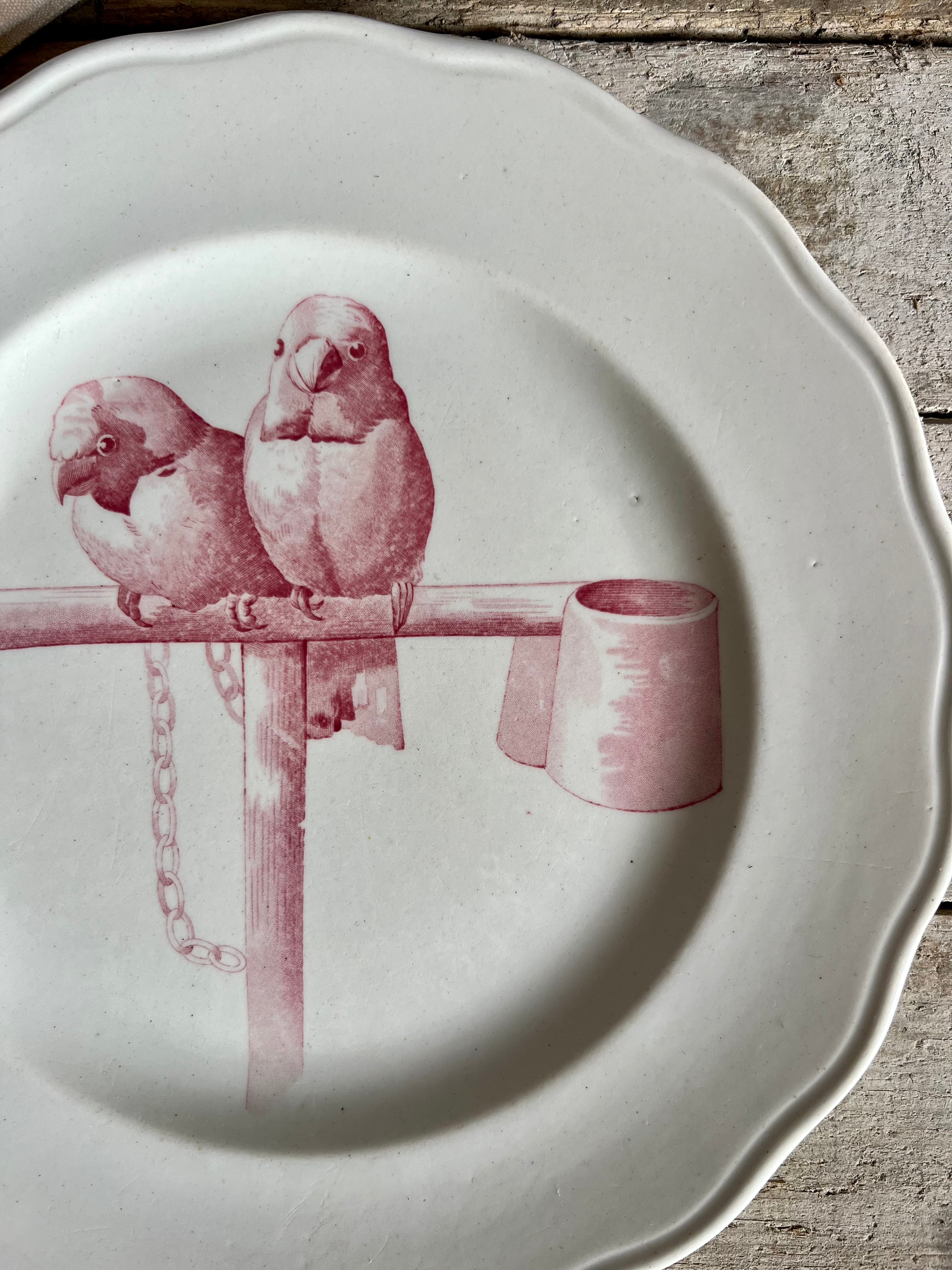 Rare assiette de Cauldon en faïence de 1830 - Le boudoir luxe de Solenn