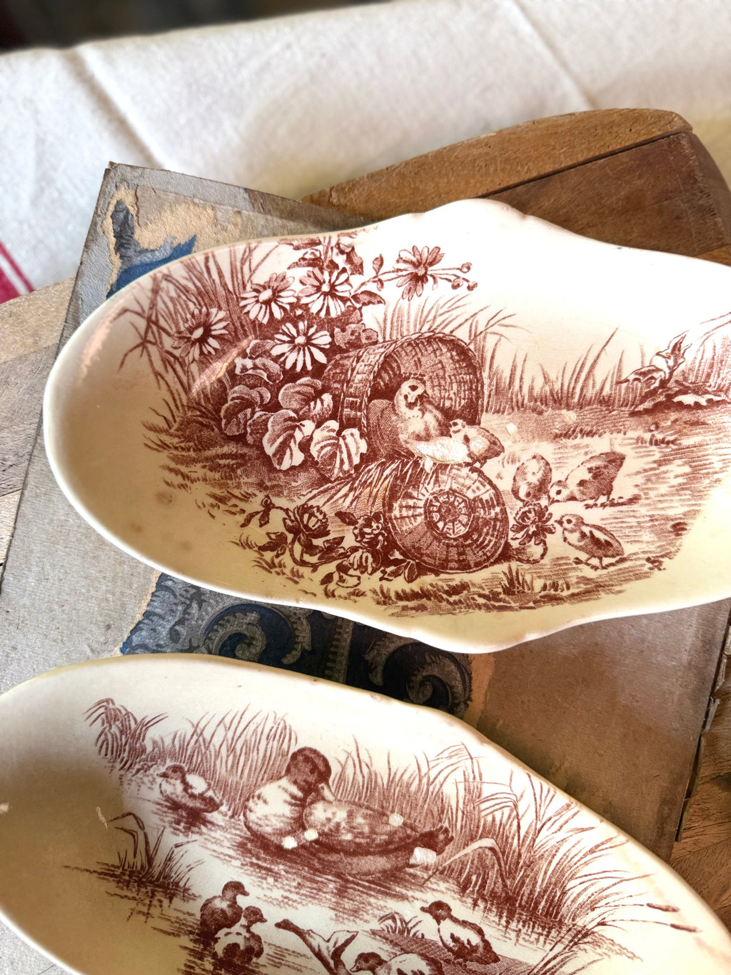 Ravier Jules Vieillard Bordeaux , modèle « Volière »