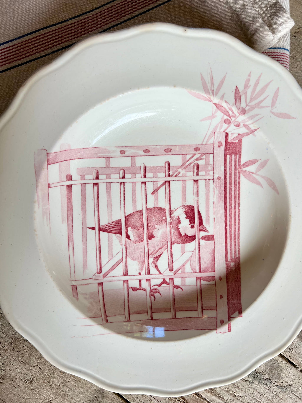 Rare assiette de Cauldon en faïence de 1830 - Le boudoir luxe de Solenn