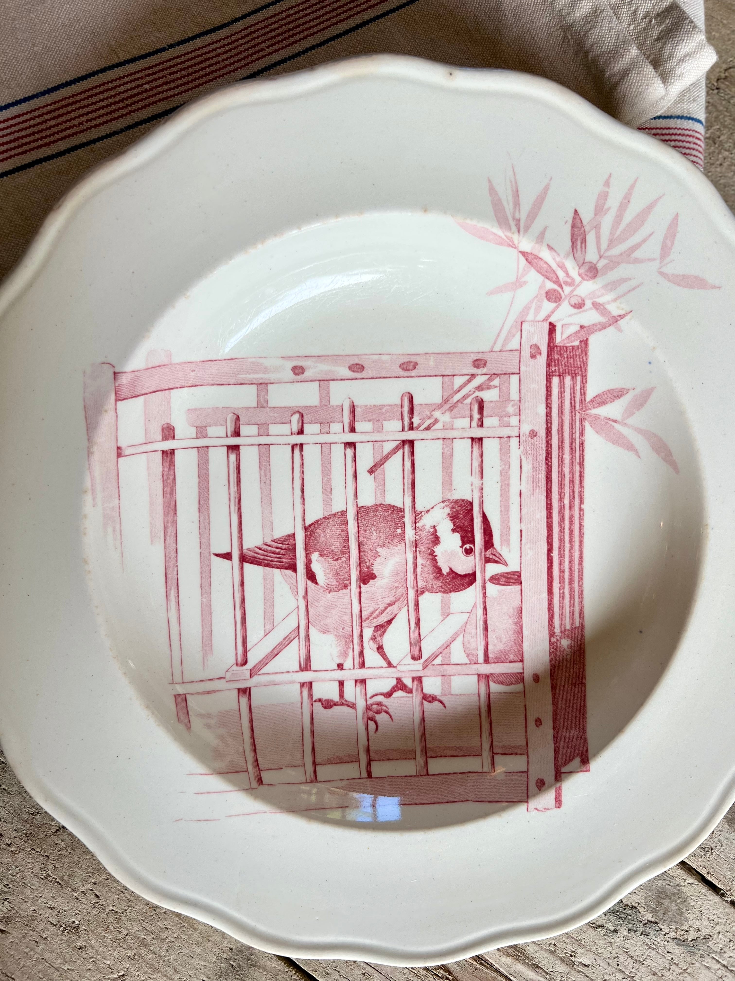 Rare assiette de Cauldon en faïence de 1830 - Le boudoir luxe de Solenn