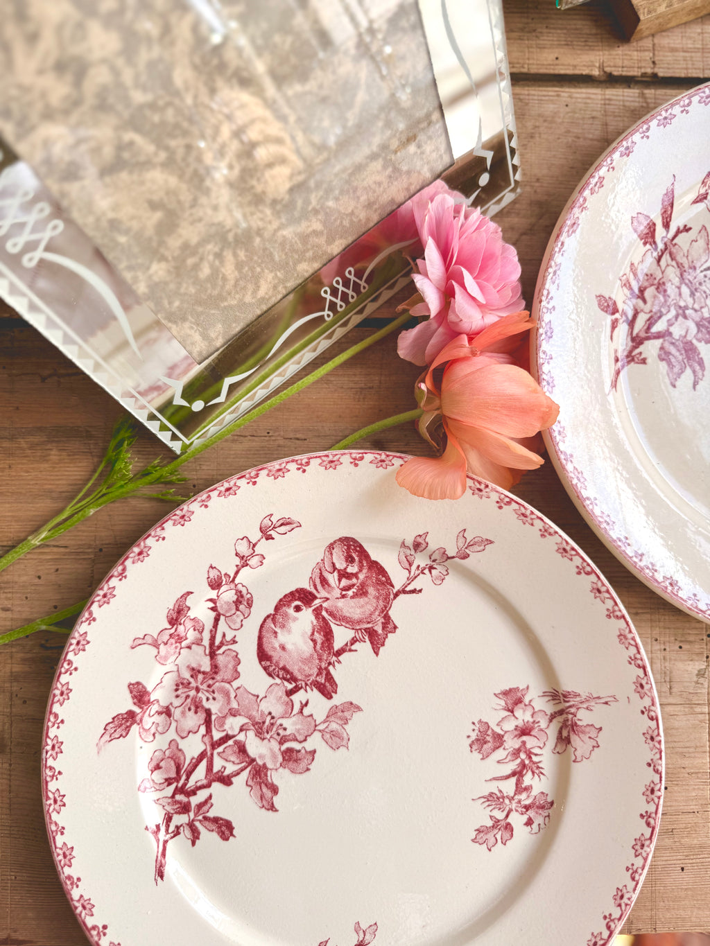 « Favori », assiettes plates, Sarreguemines