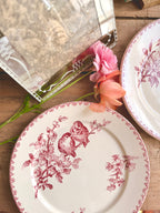 « Favori », assiettes plates, Sarreguemines - Le boudoir luxe de Solenn