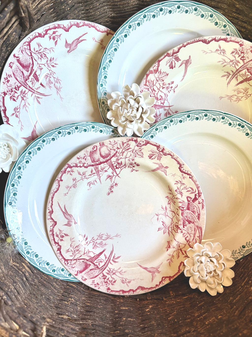 6 assiettes plates en terre de fer, luneville et Sarreguemines