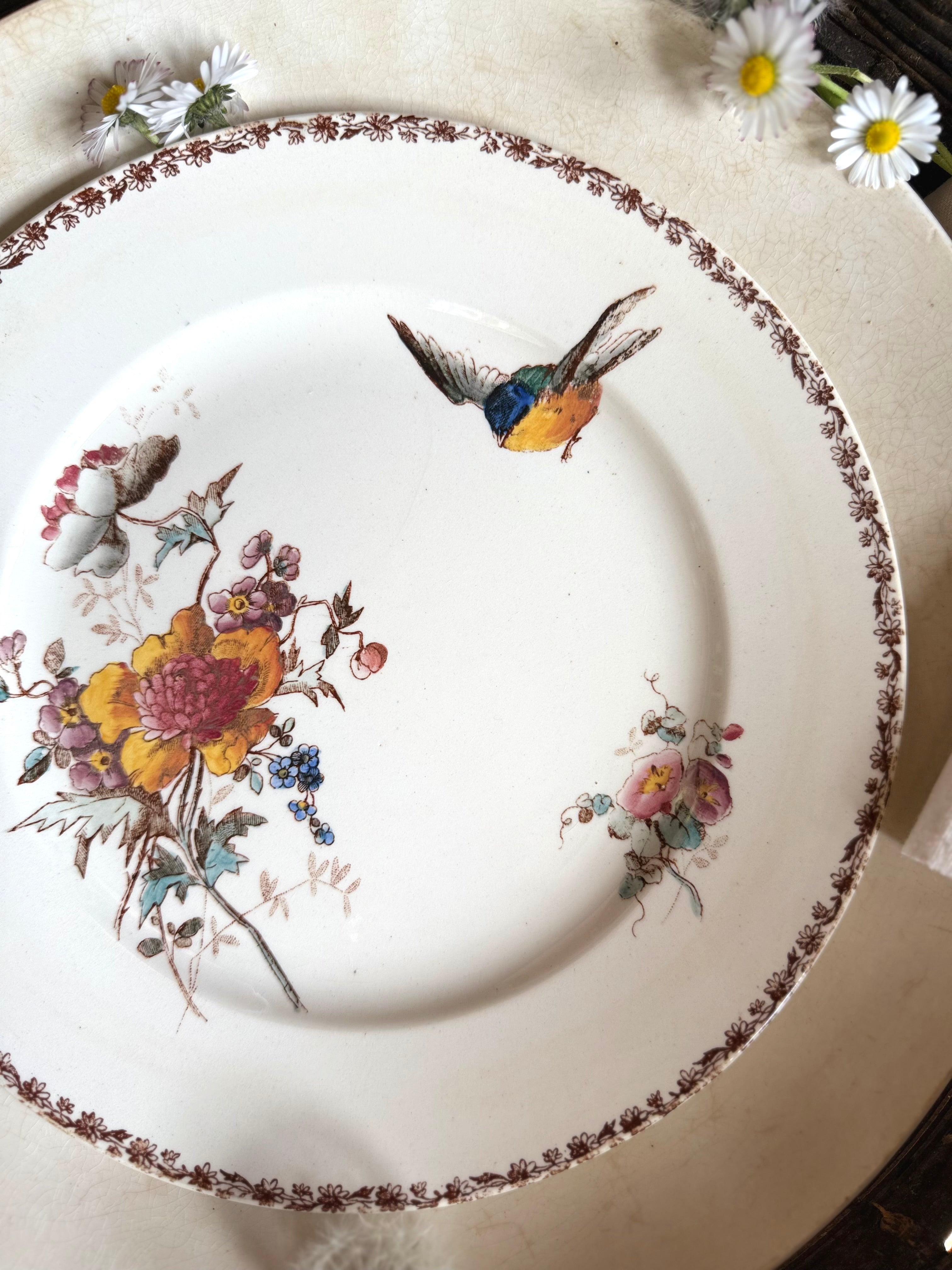 Assiette plate (N2) de Choisy Le Roi, polychrome en terre de fer