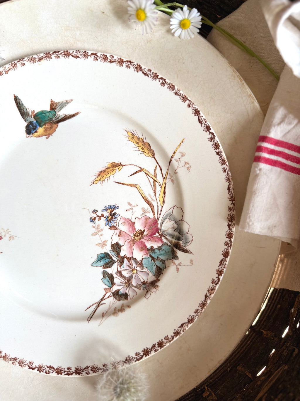 Assiette plate (N4) de Choisy Le Roi, polychrome en terre de fer