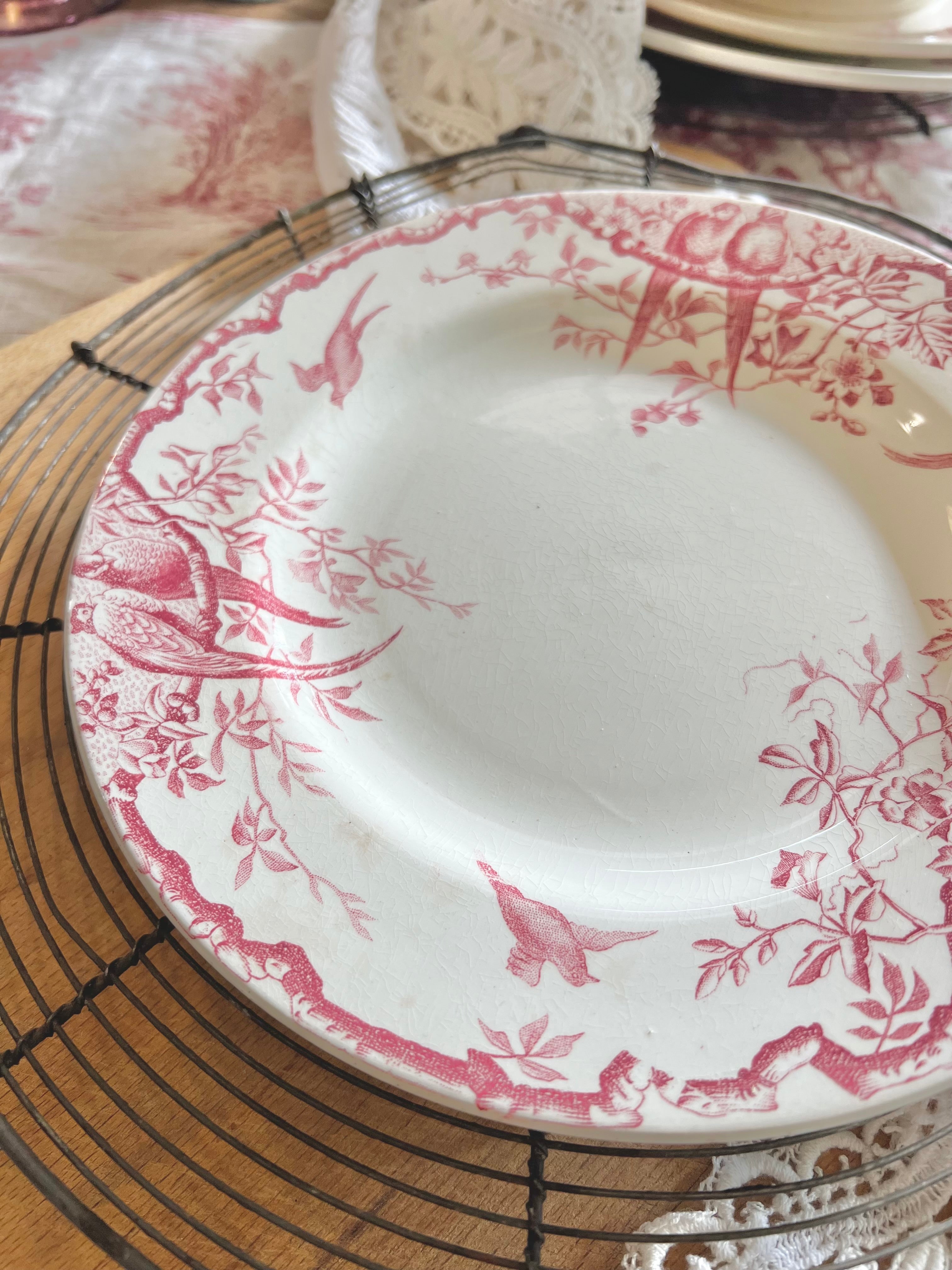 Assiettes plates « Rambouillet » de Luneville, terre de fer. - Le boudoir luxe de Solenn