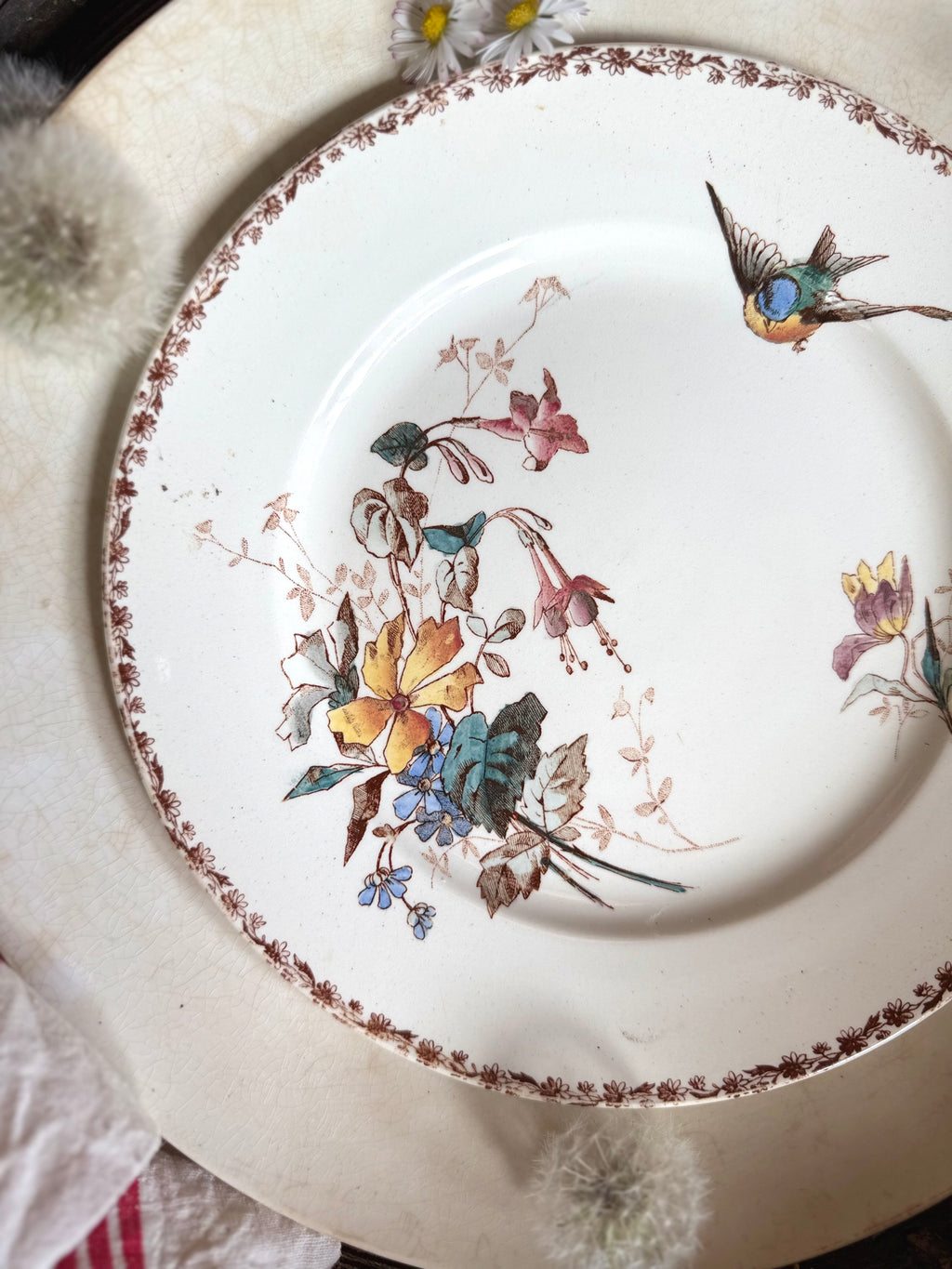 Assiette plate (N10) de Choisy Le Roi, polychrome en terre de fer